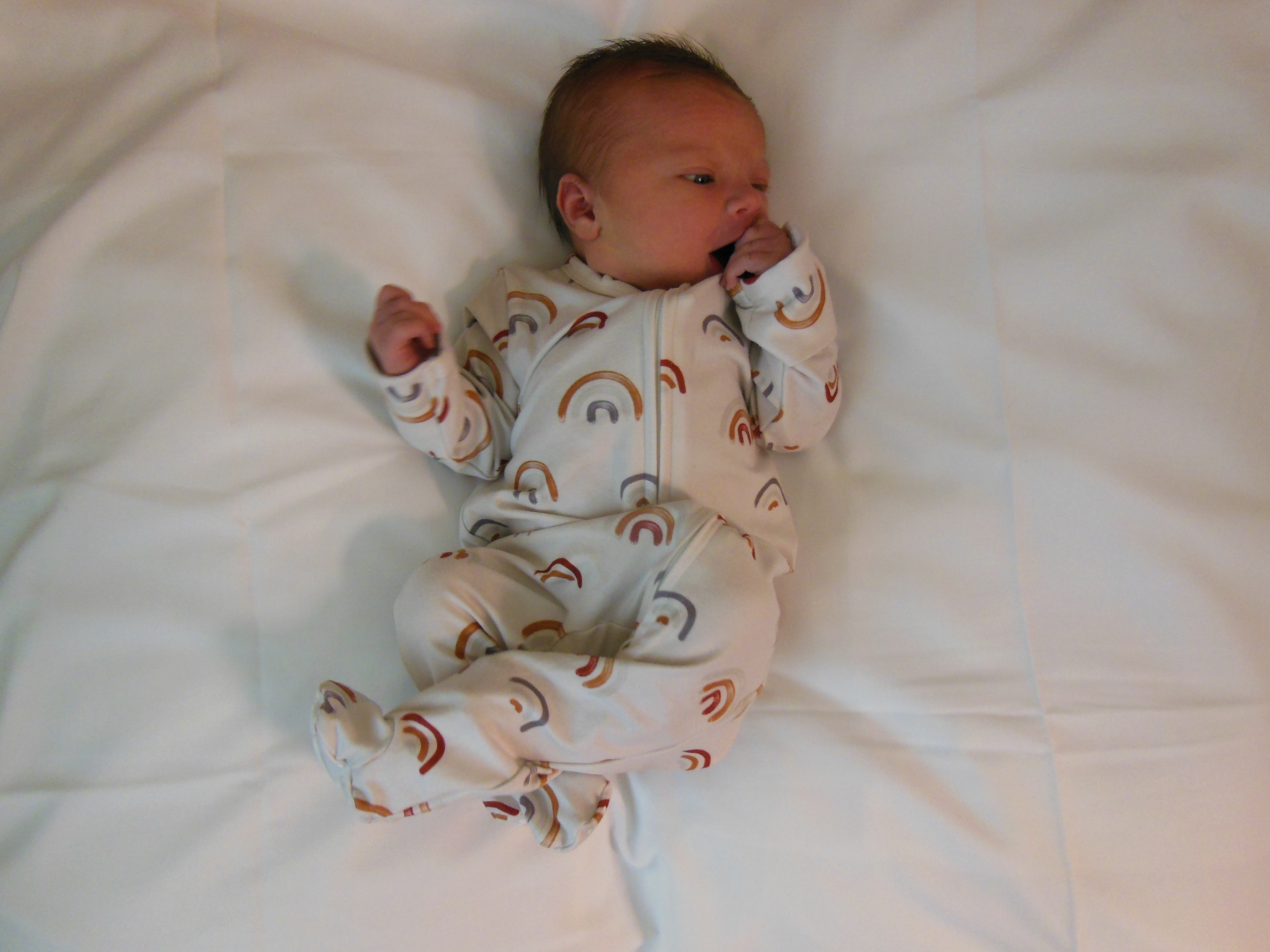 Ruthie Raelynn