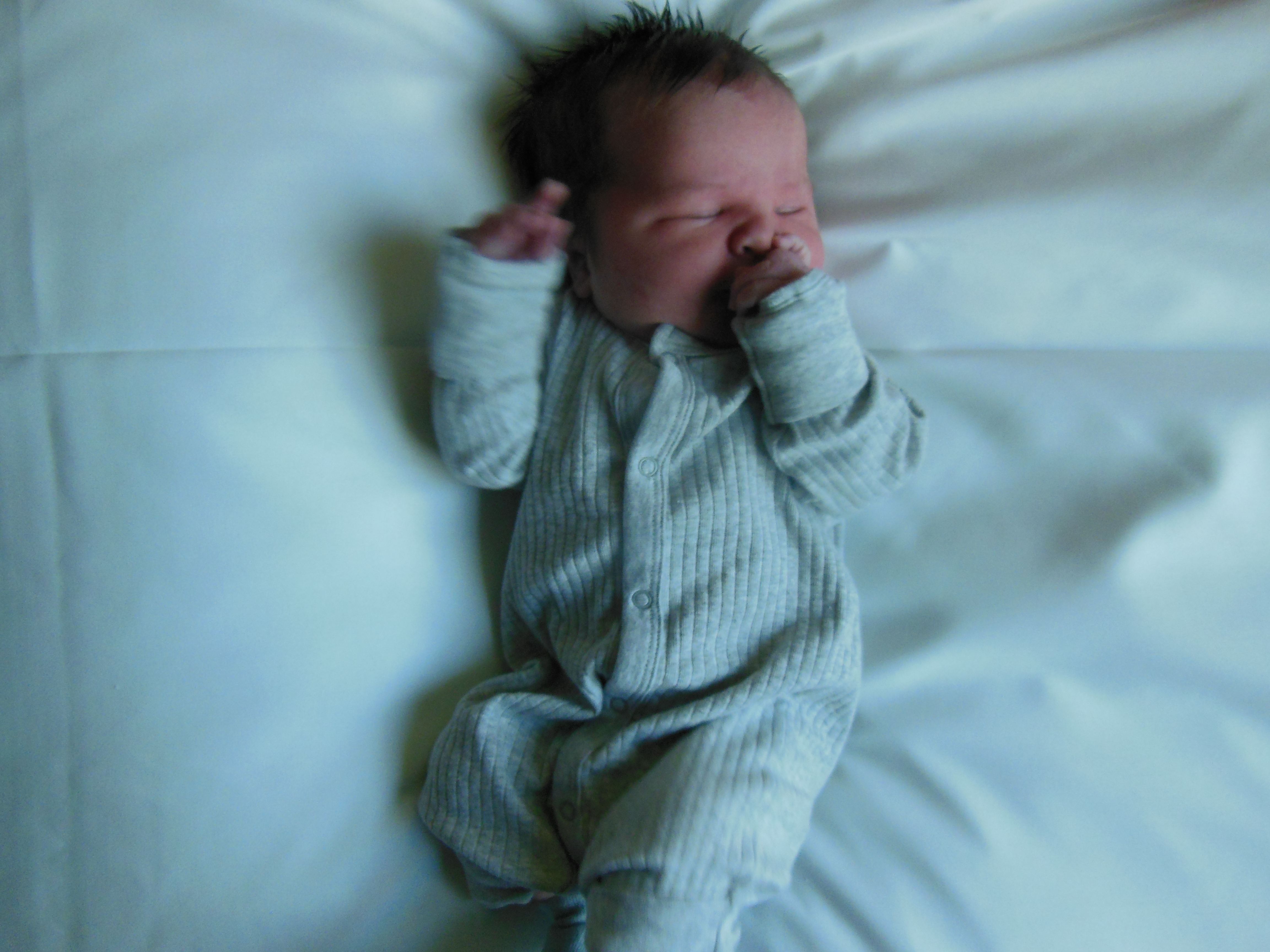 Jackson Paul