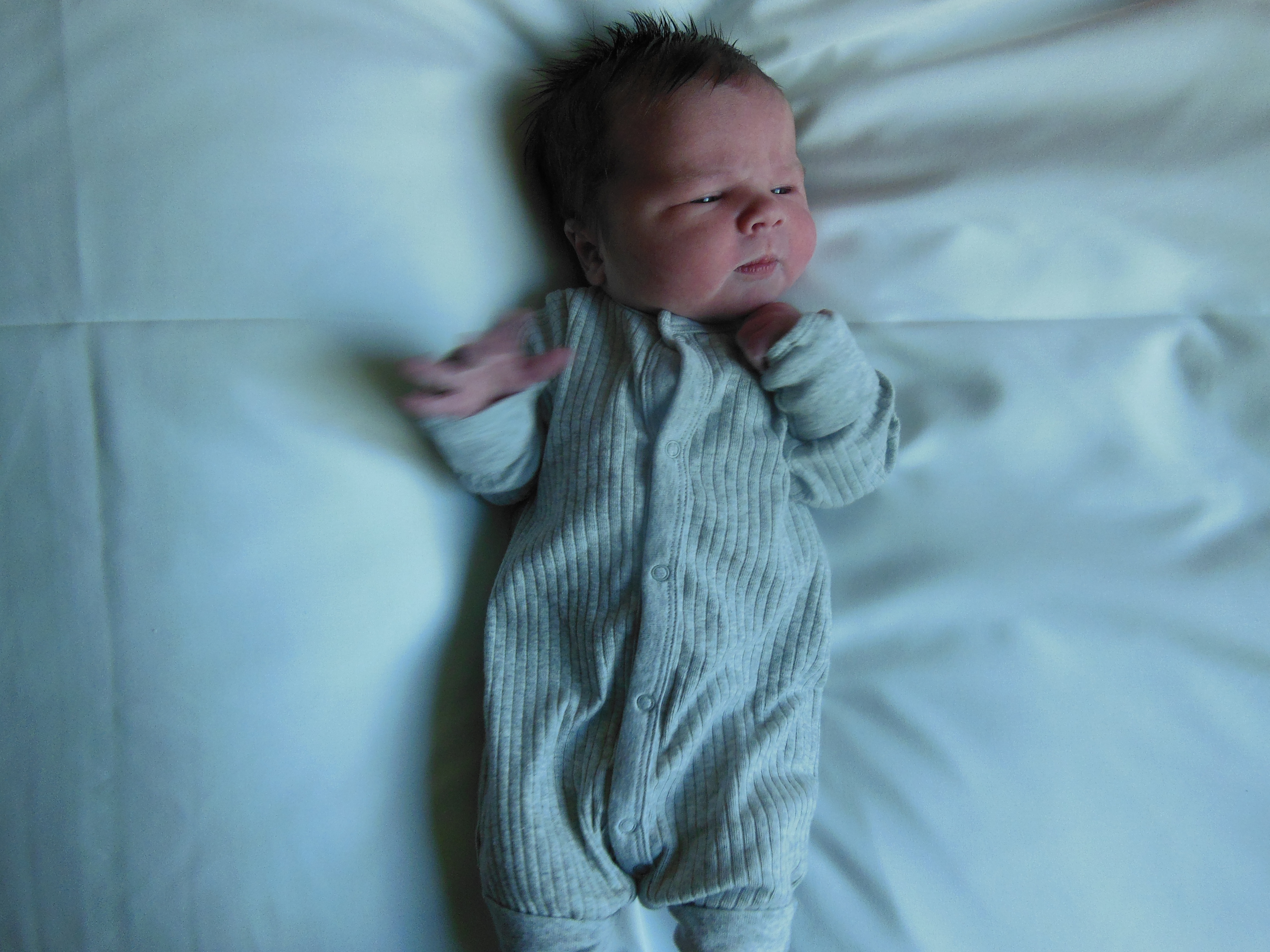 Jackson Paul