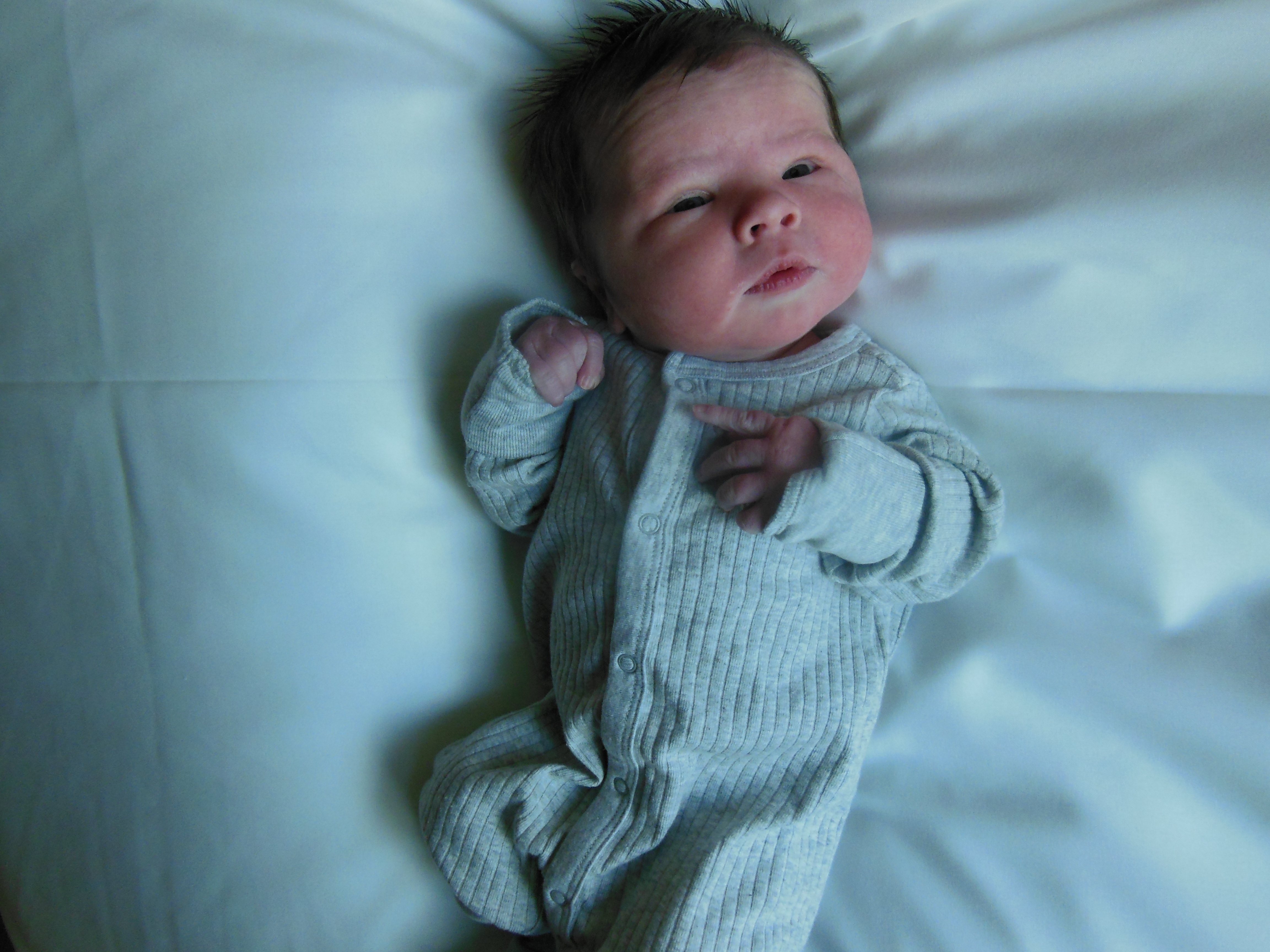 Jackson Paul