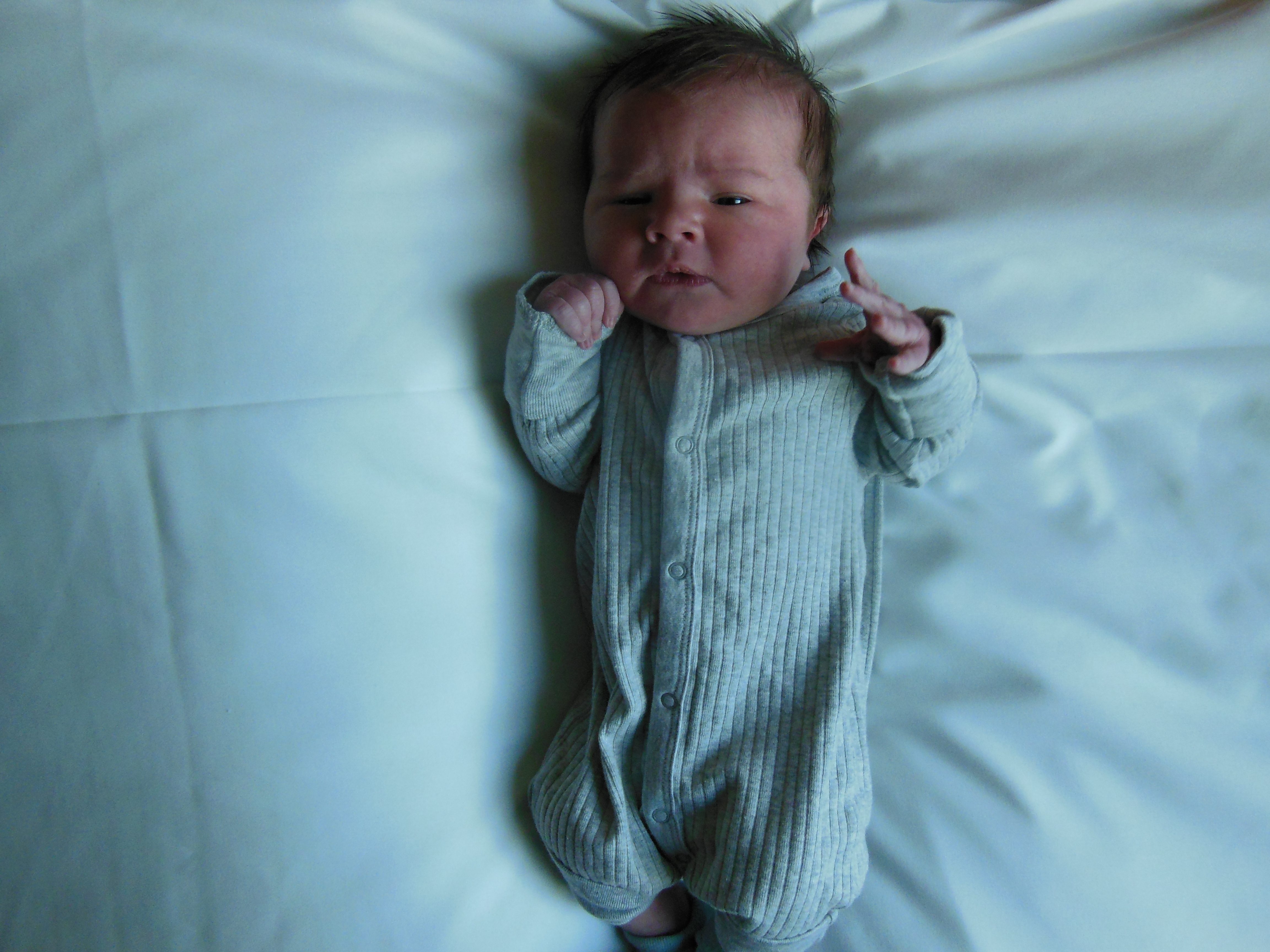 Jackson Paul