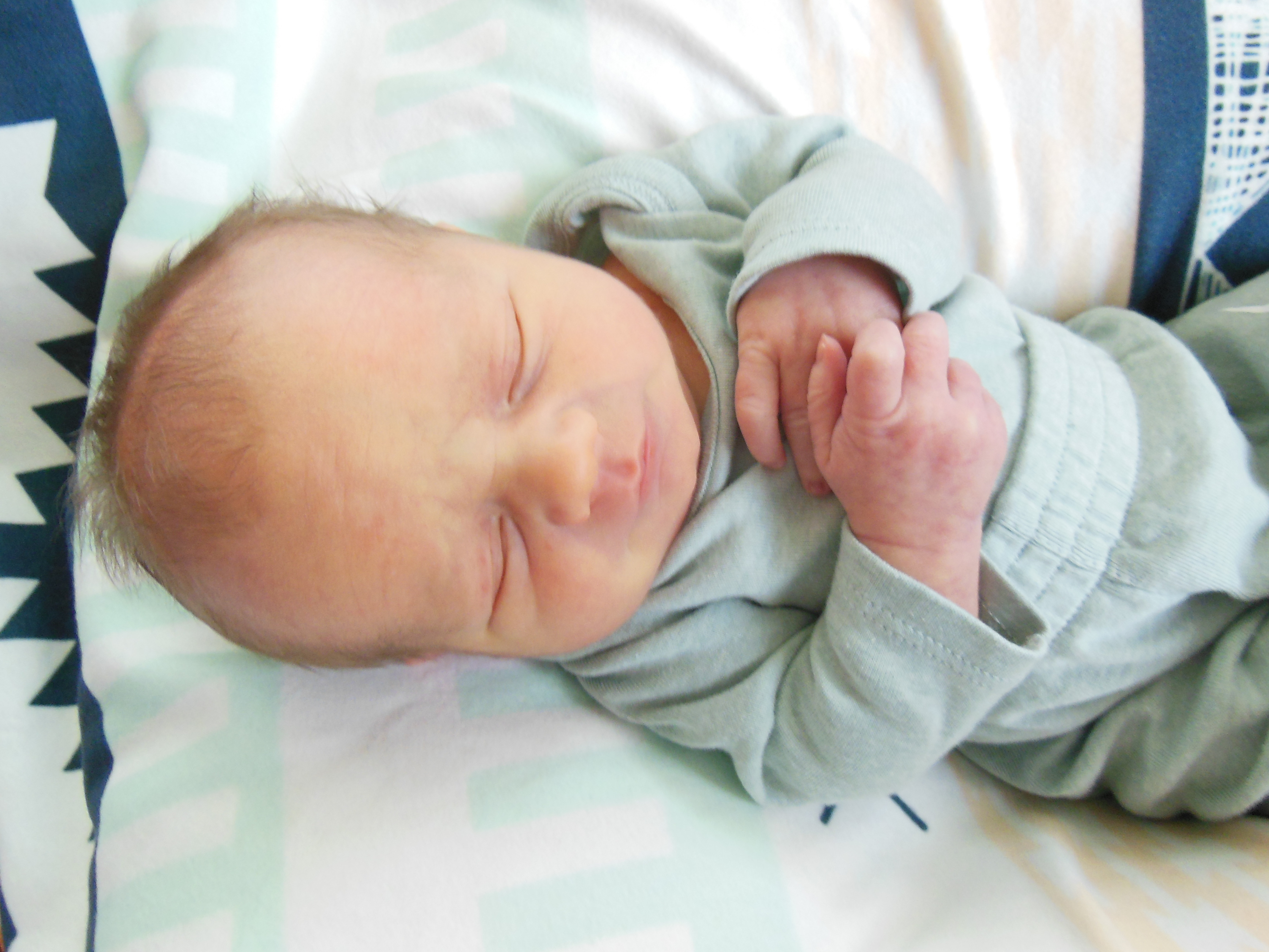 Hudson Merle