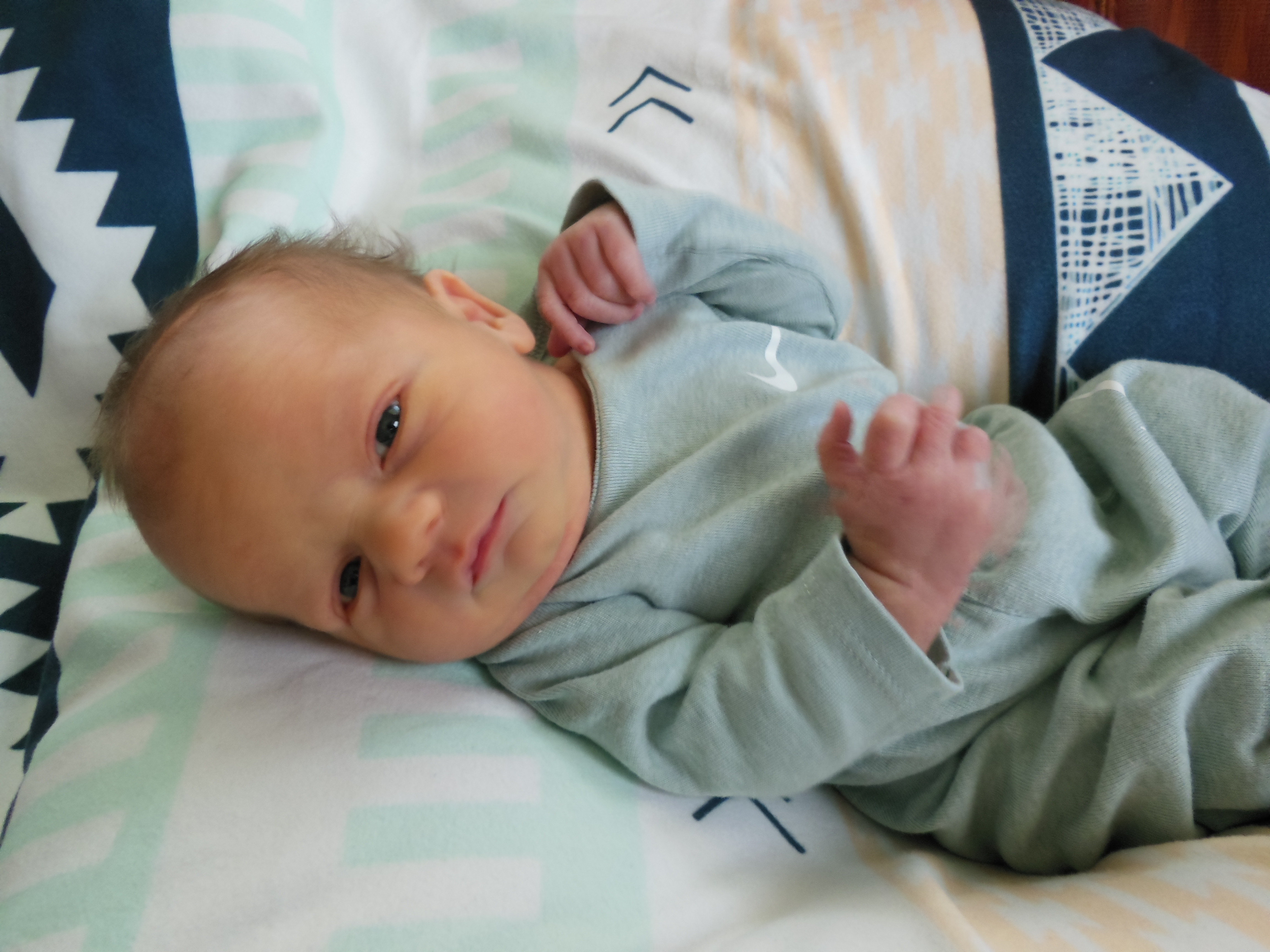 Hudson Merle