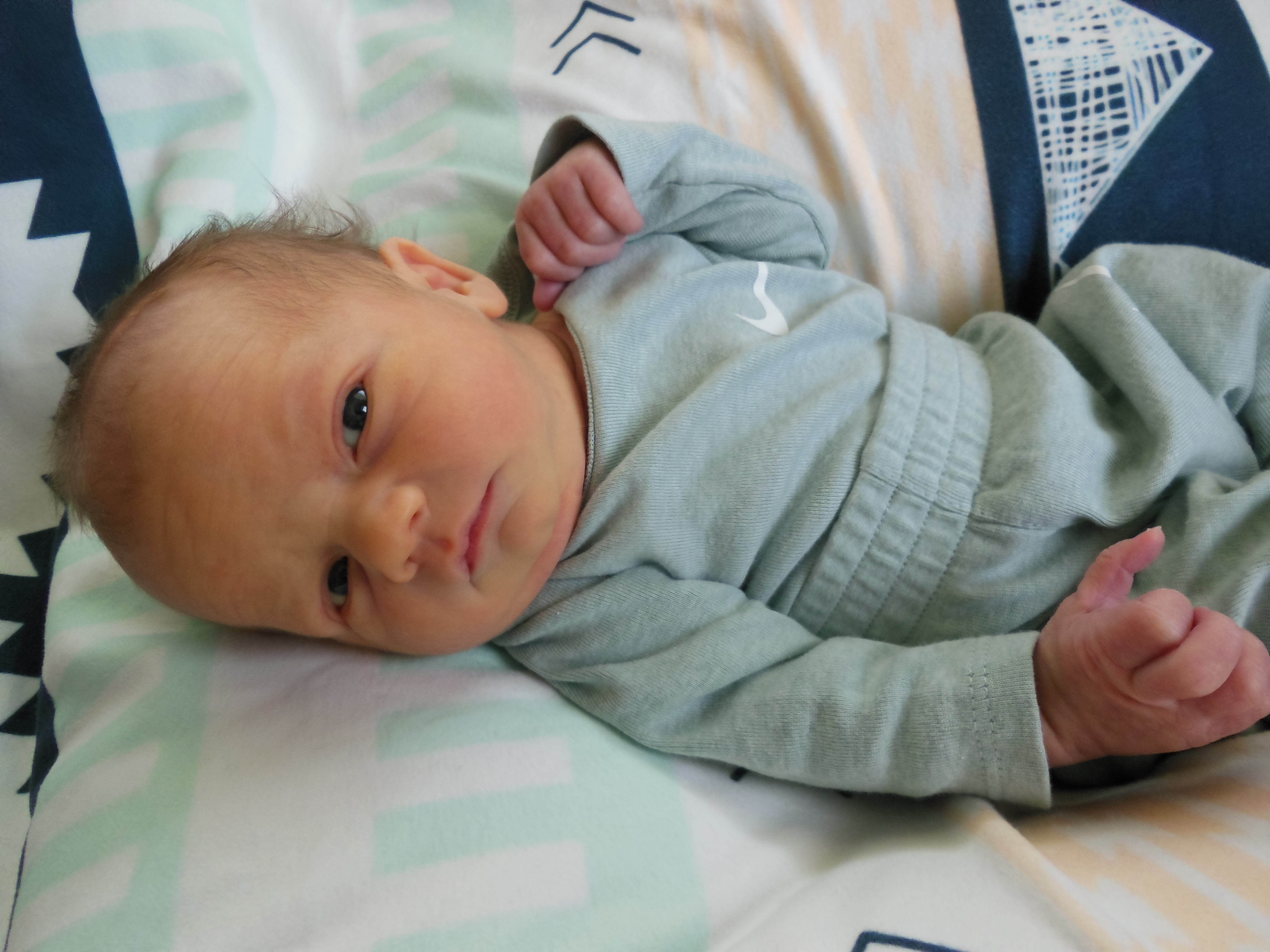 Hudson Merle