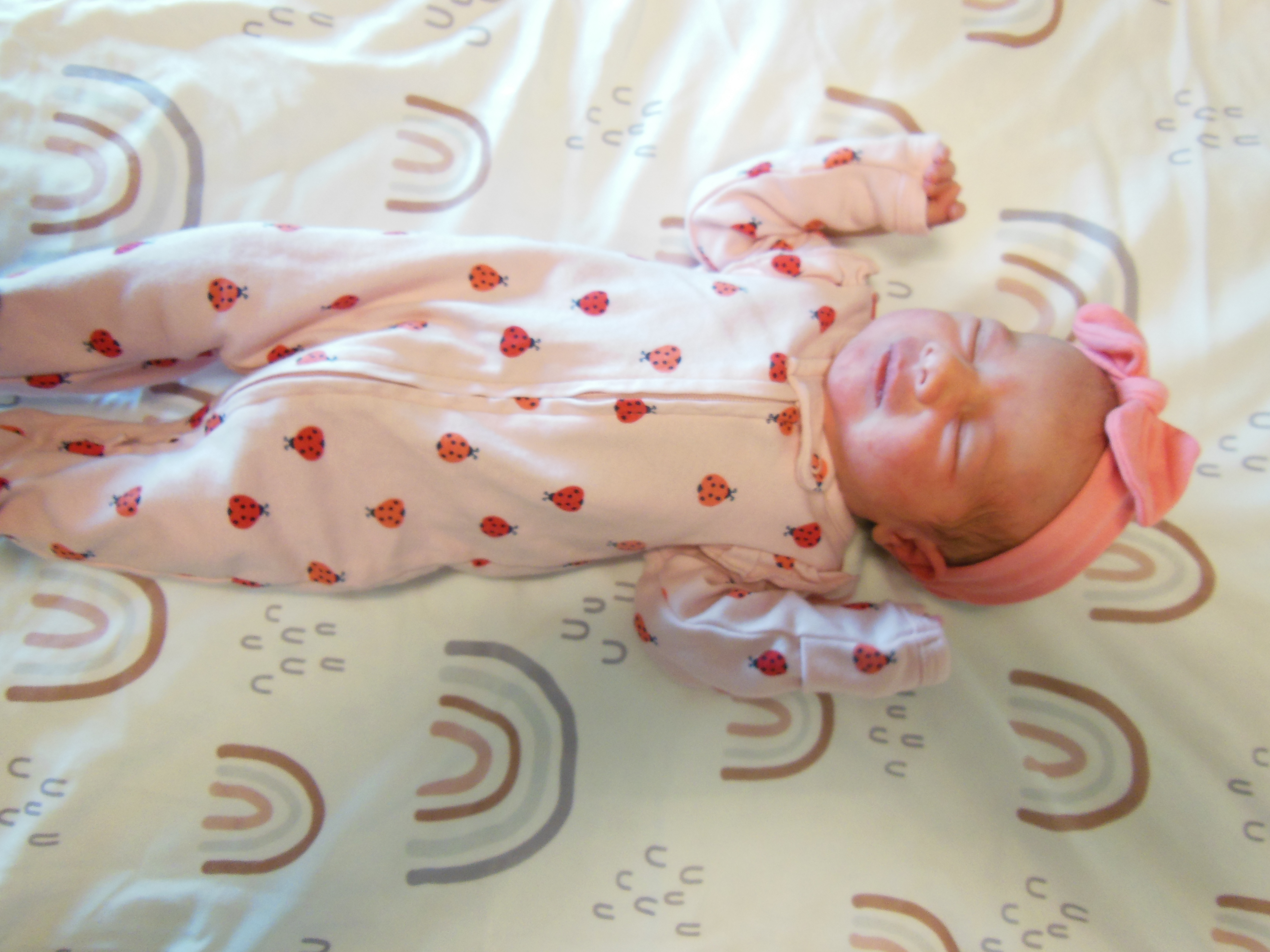 Emery Layne