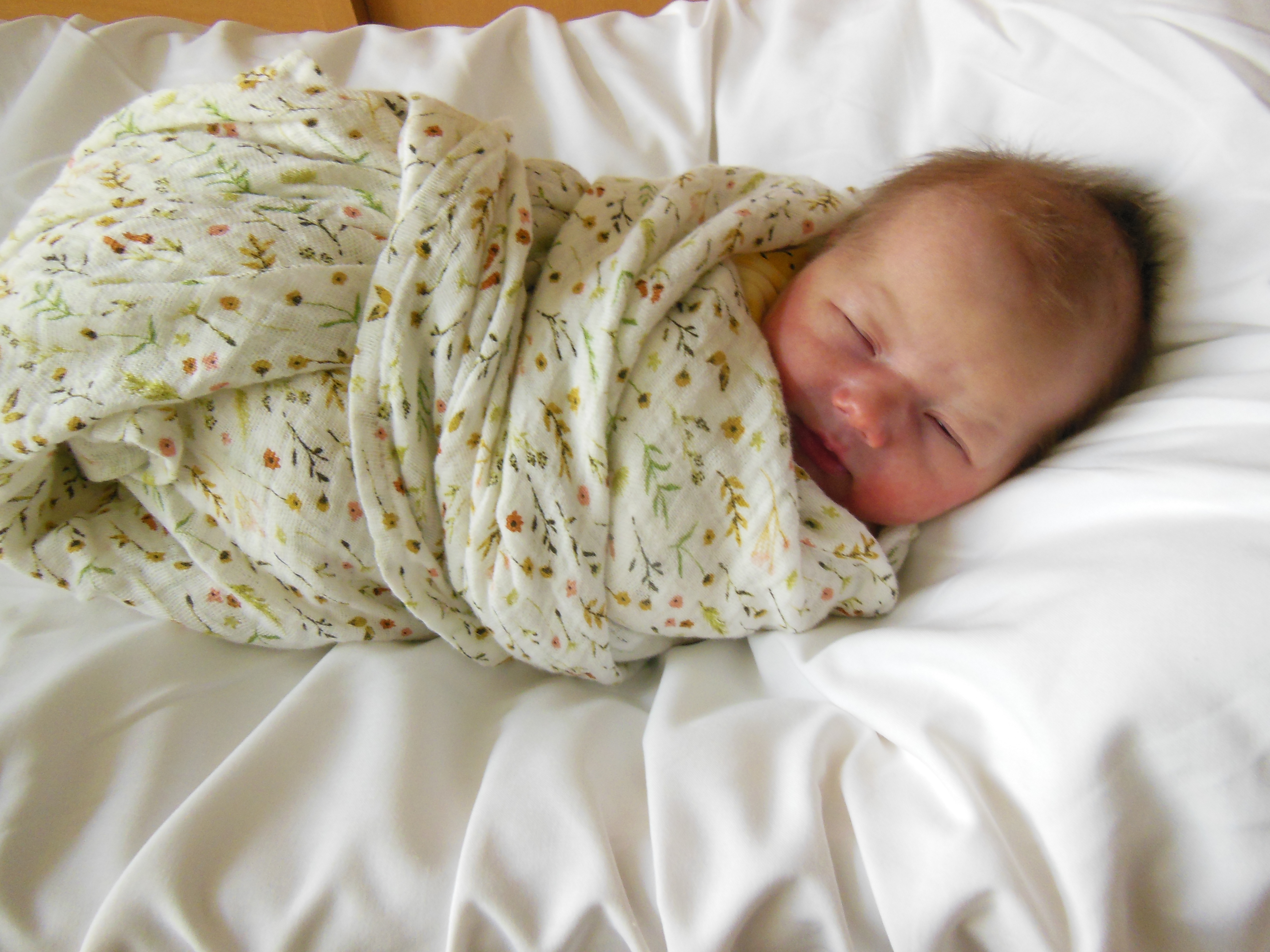 Elliot Jane