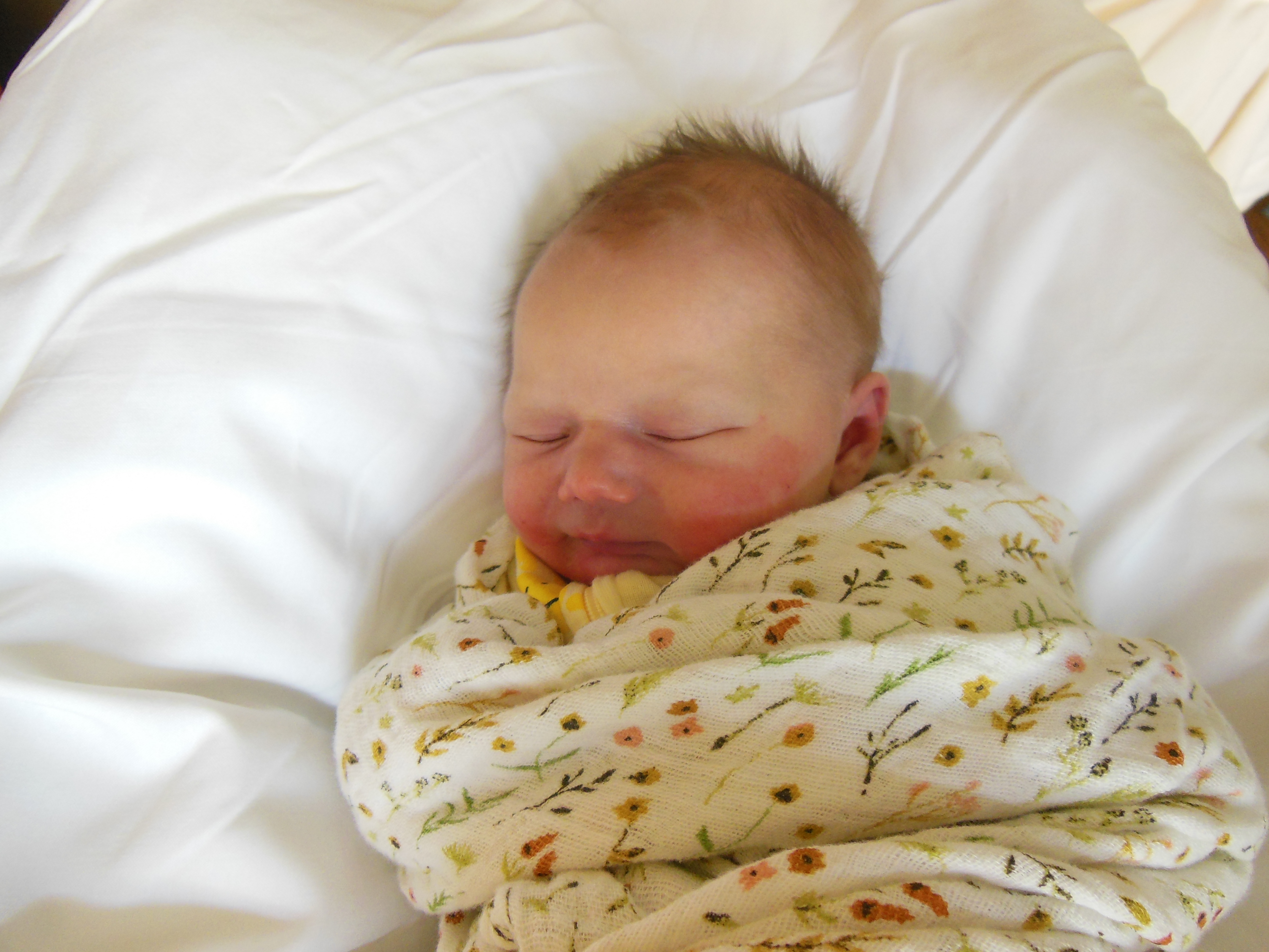 Elliot Jane