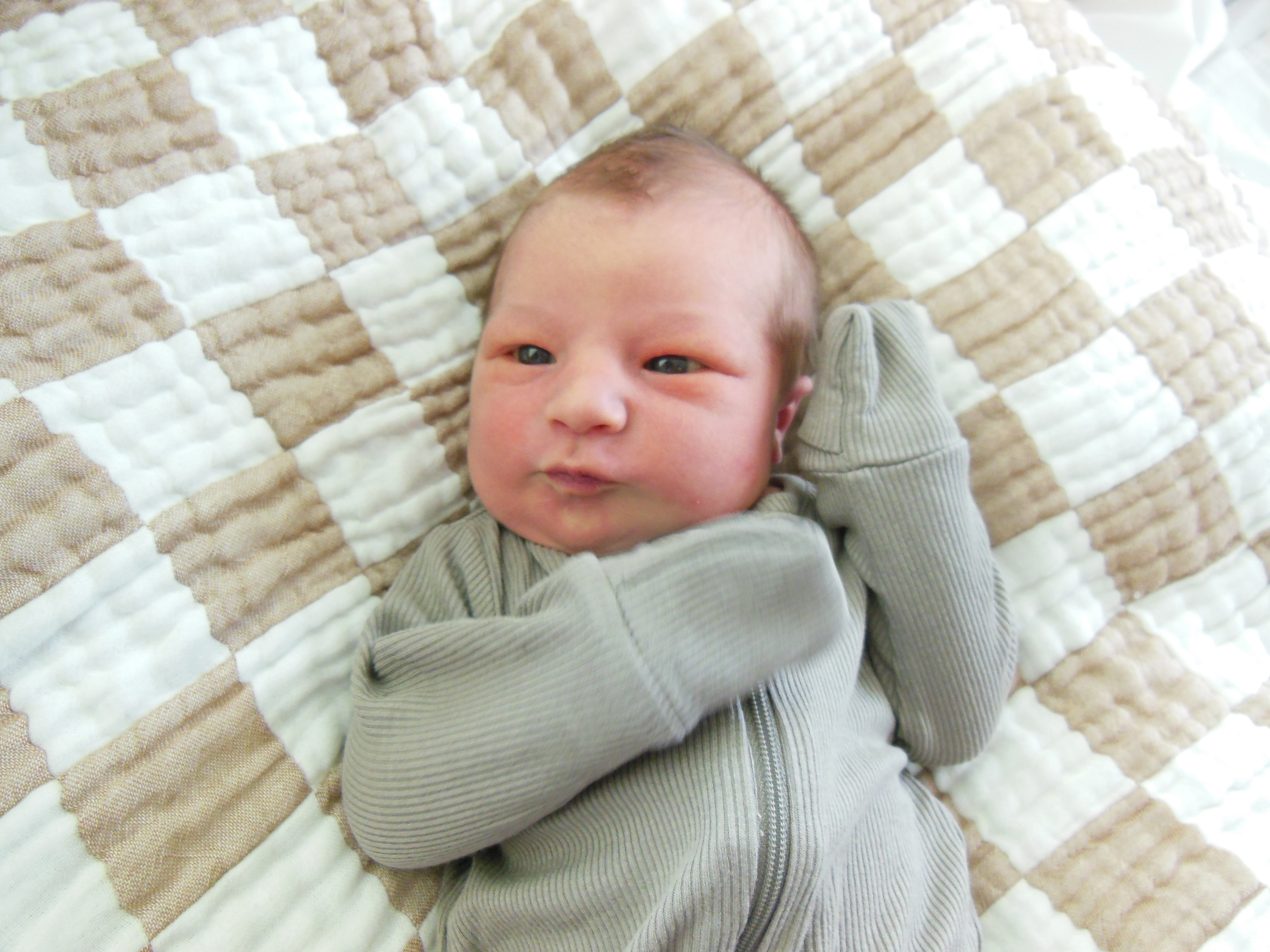 Knox David