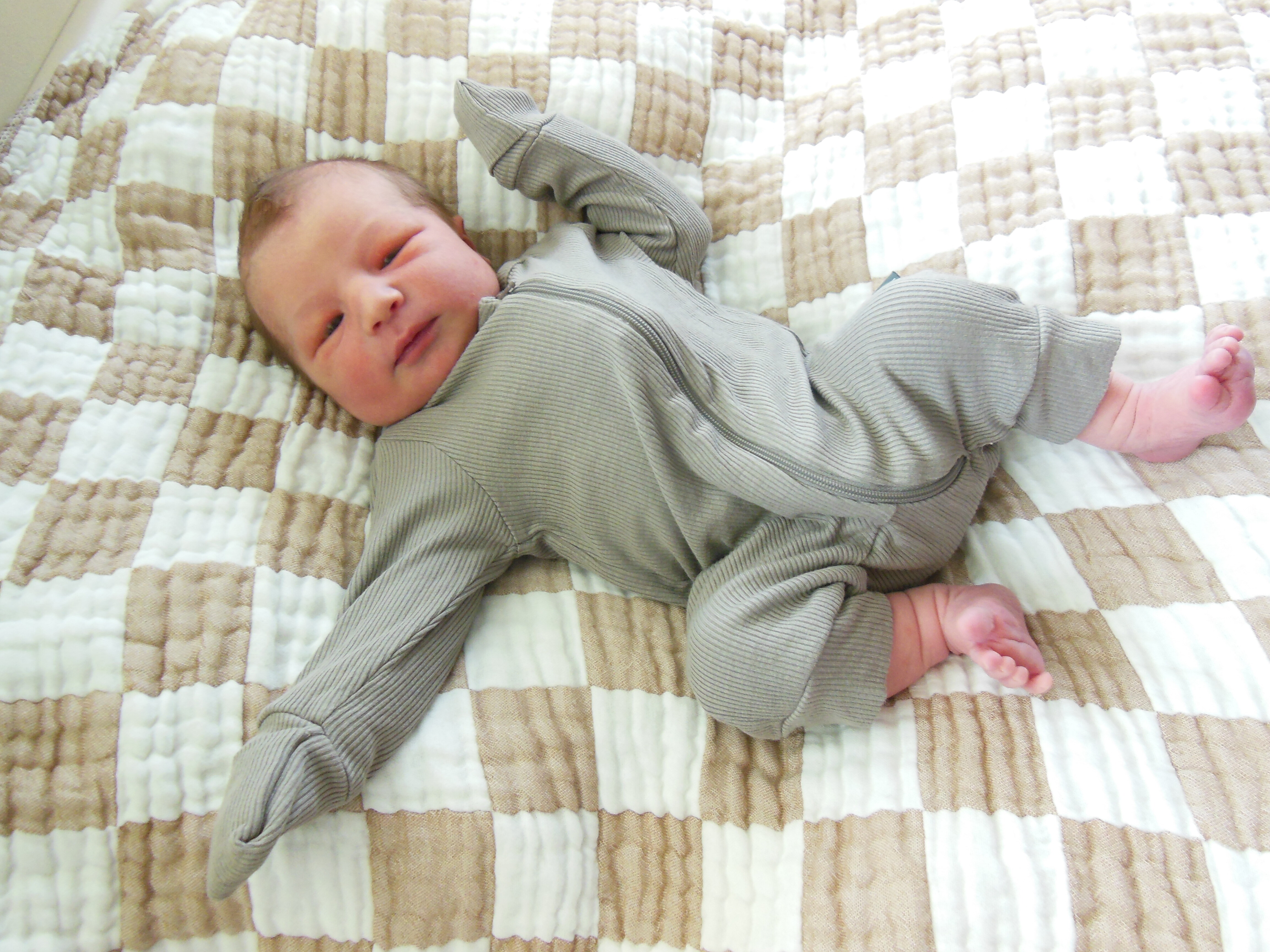 Knox David