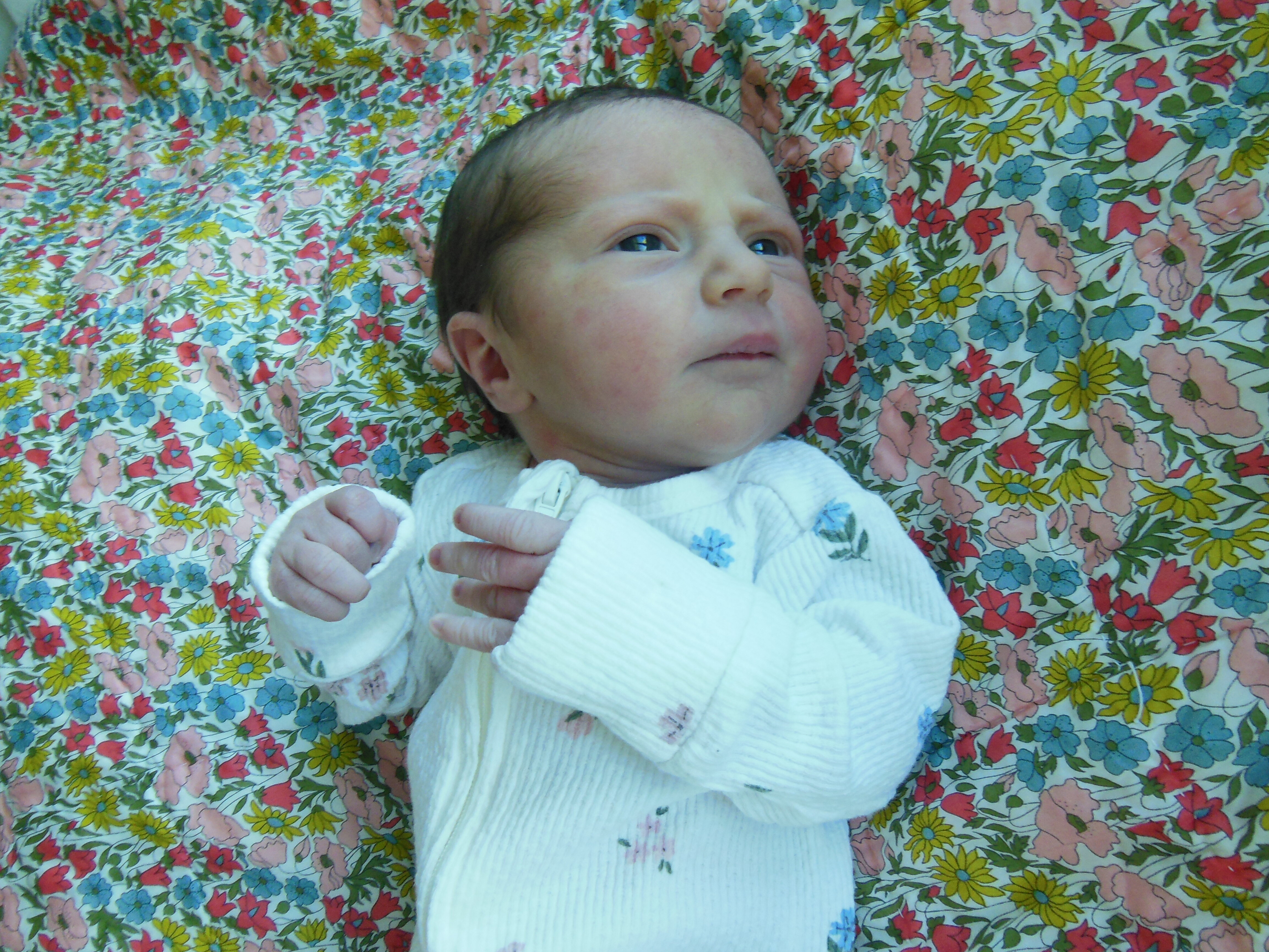 Mira Beatrice Davy