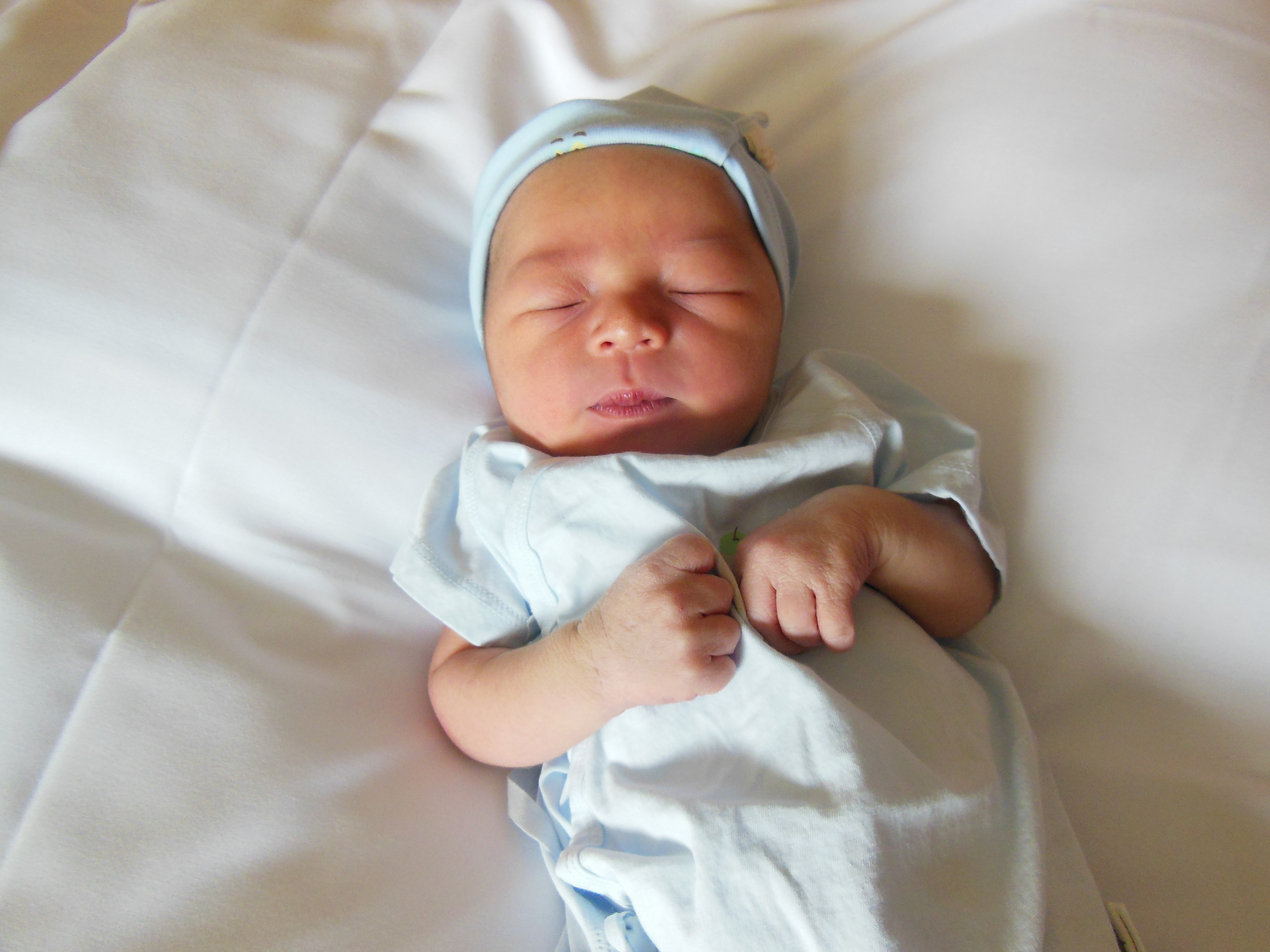 Winston Knox
