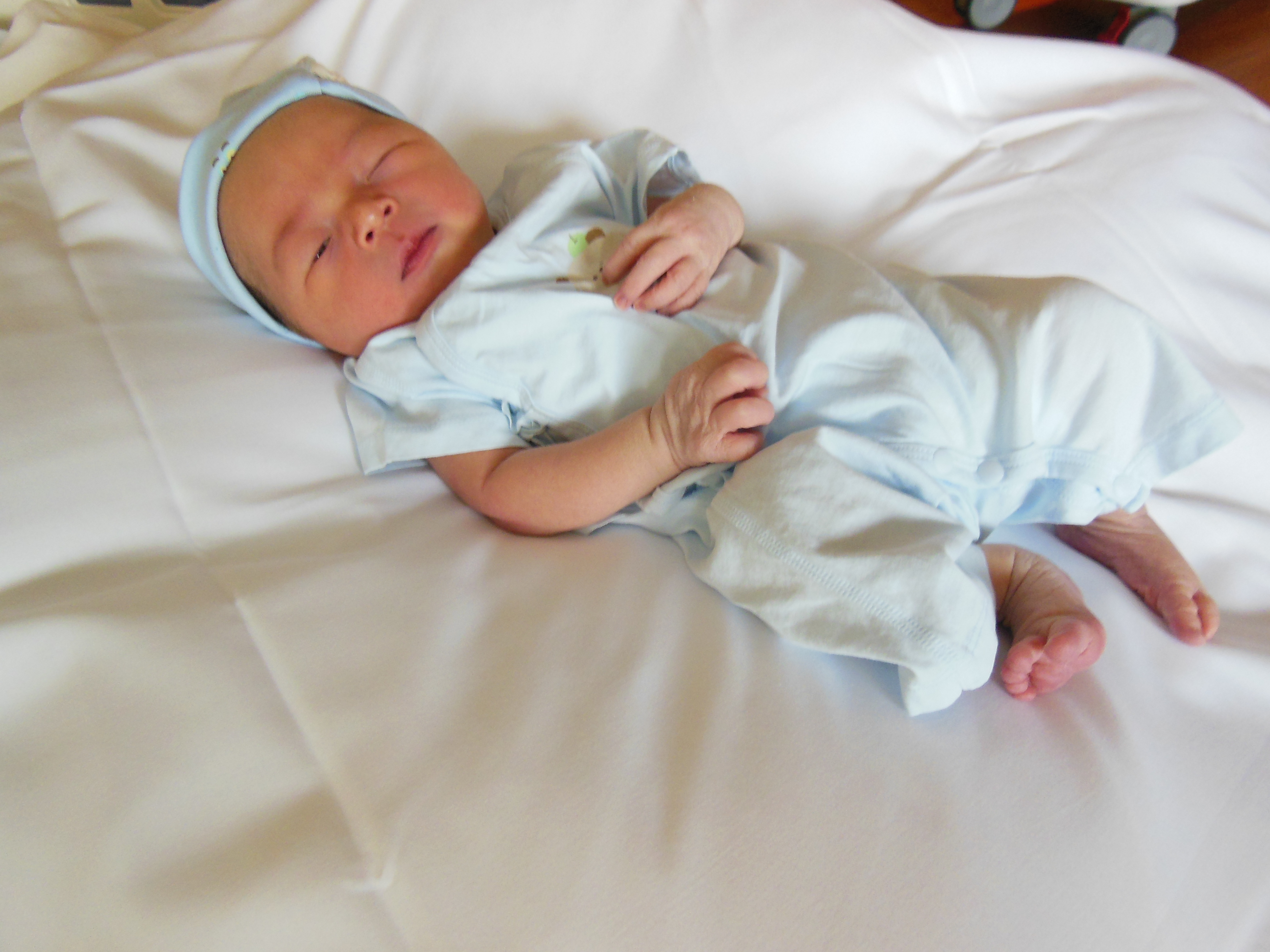 Winston Knox