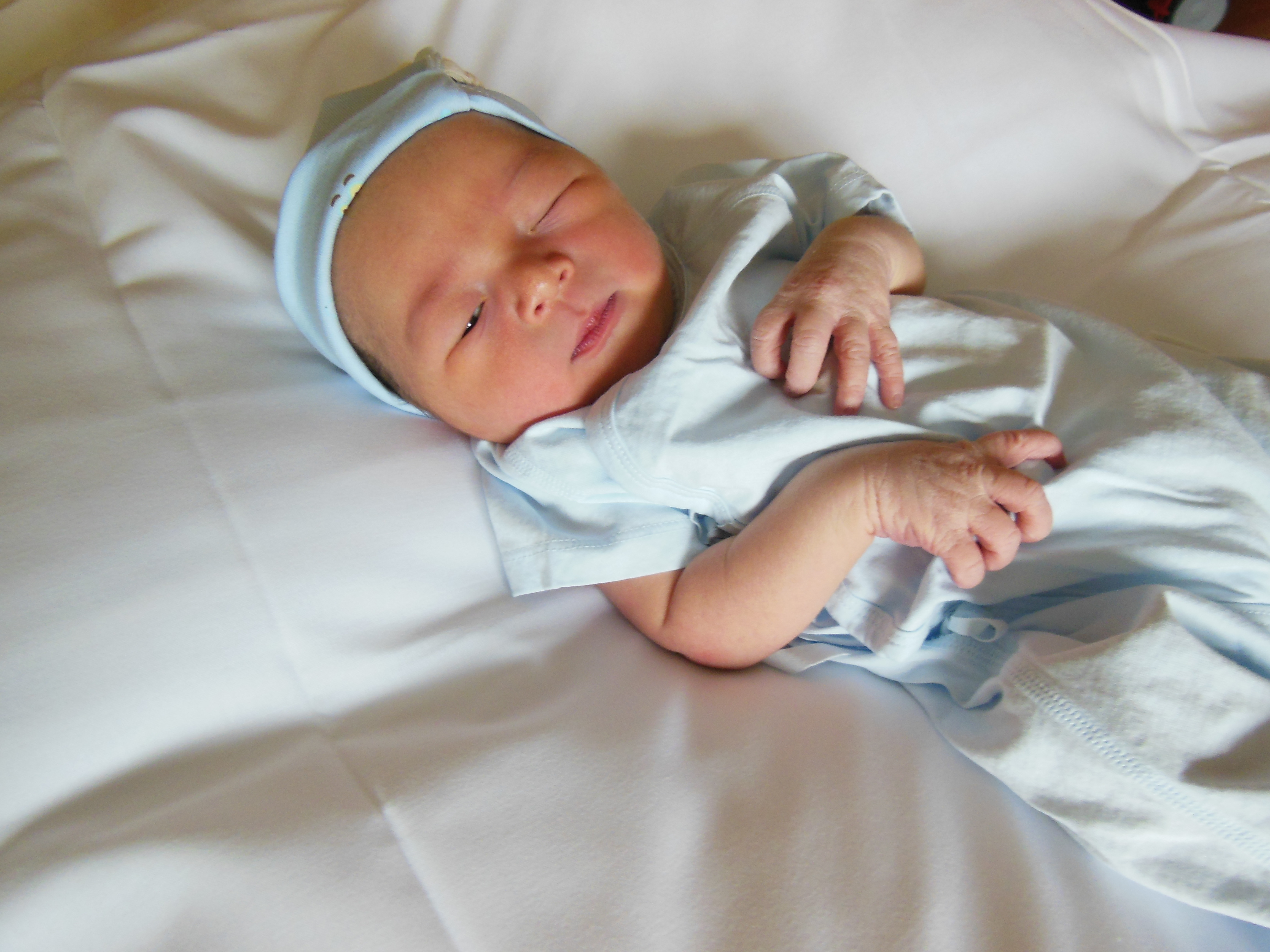 Winston Knox