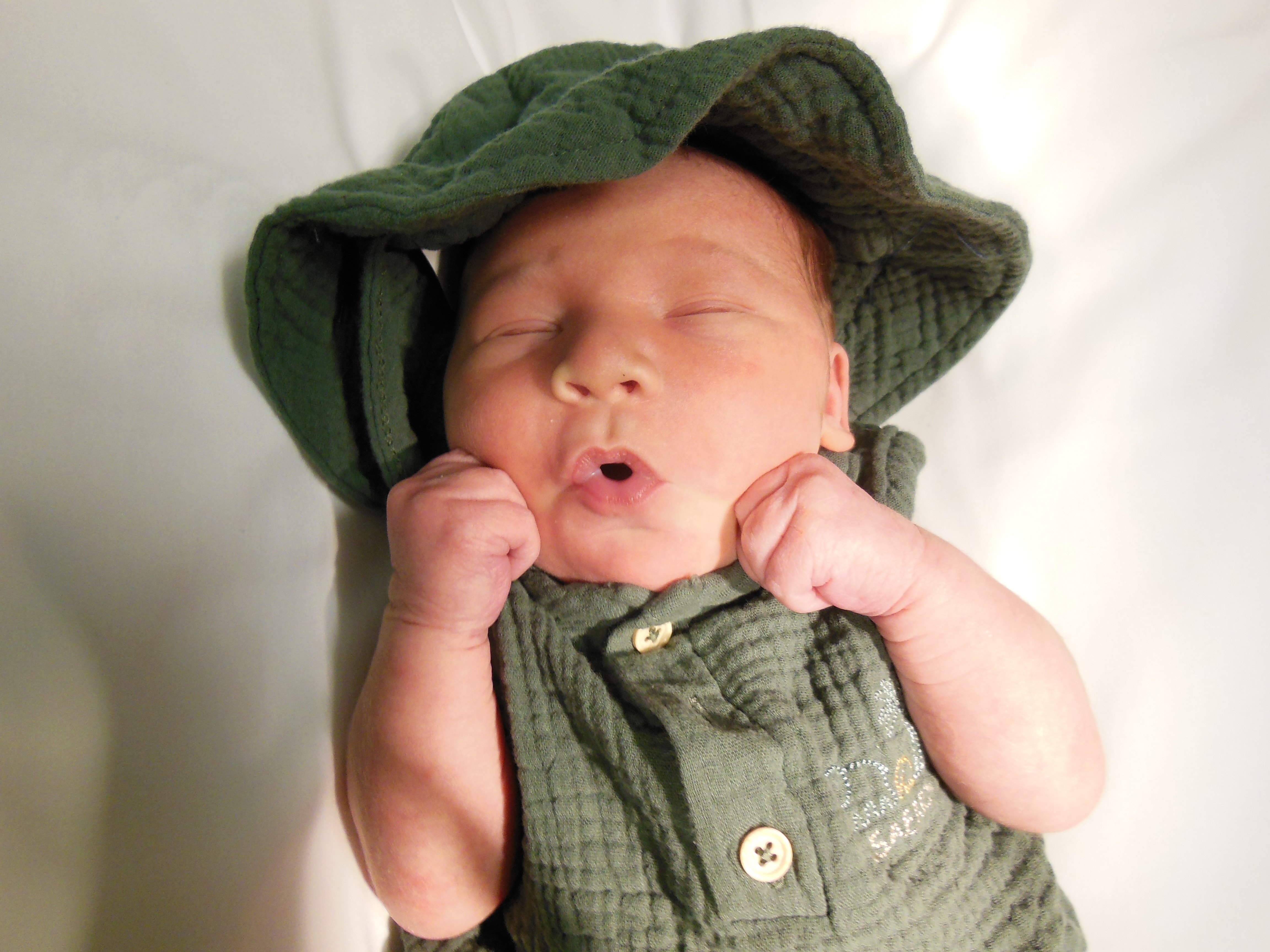 Raynon Lee