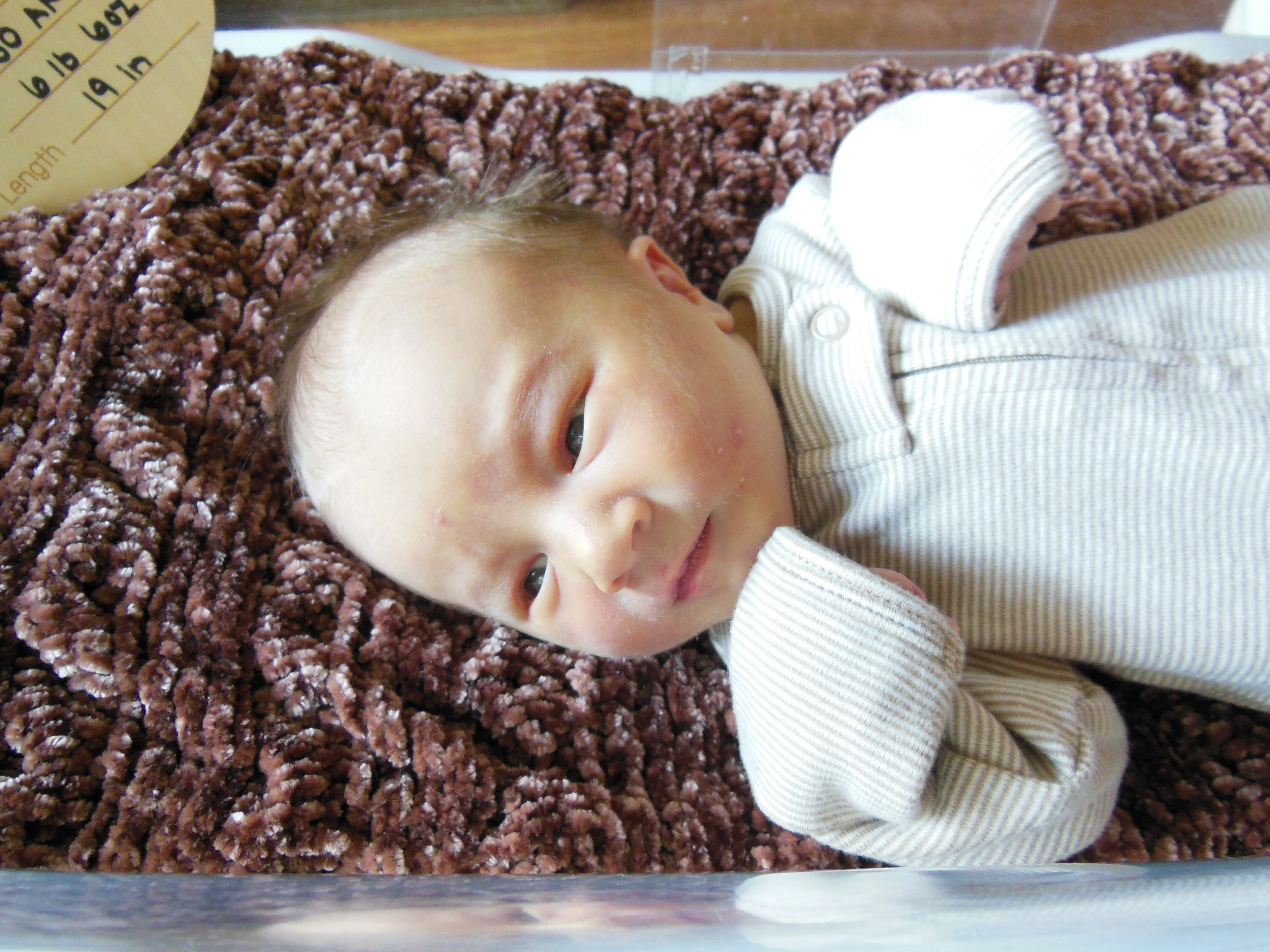Giovanni Joseph