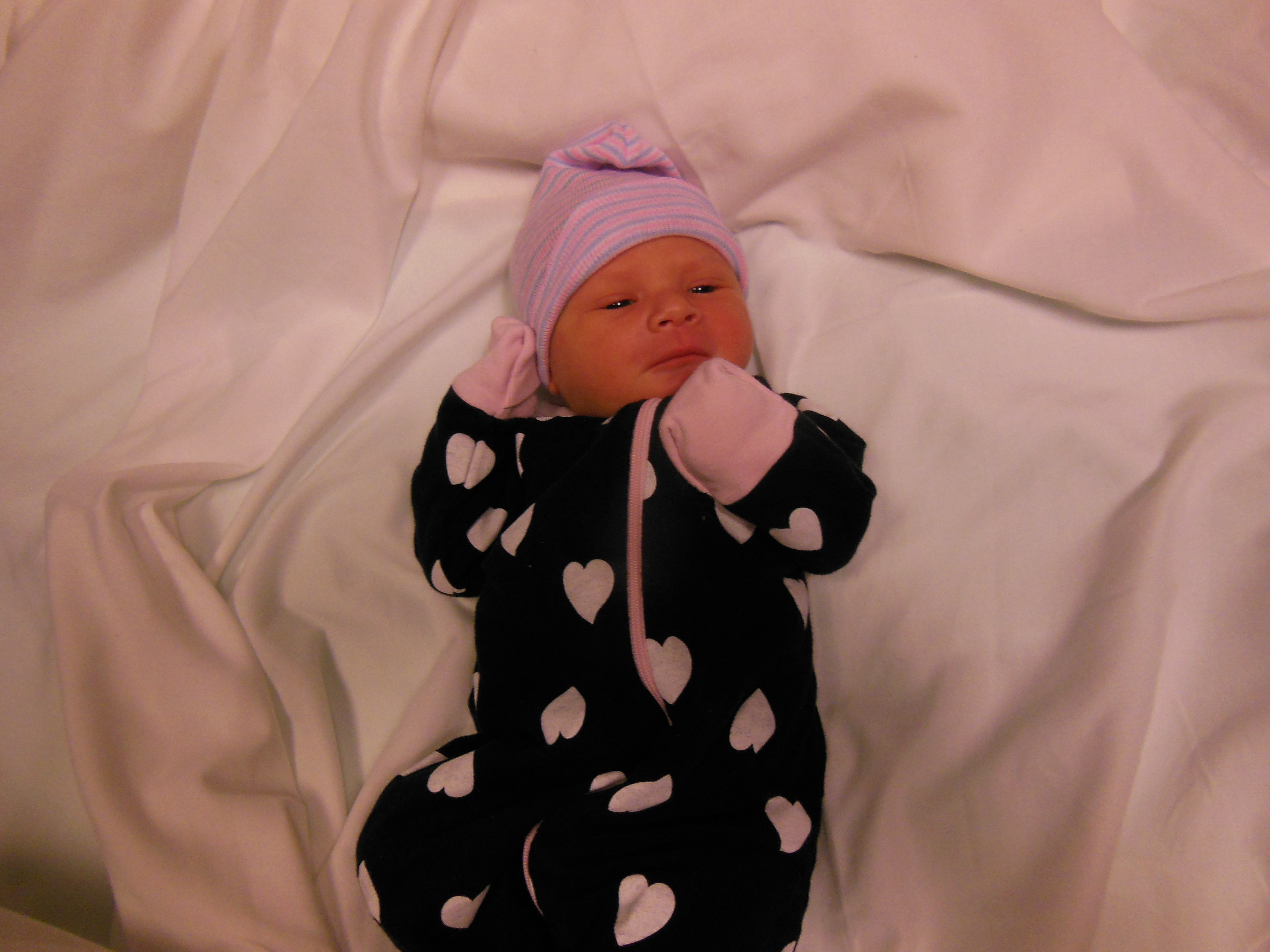 Amelia Lou 