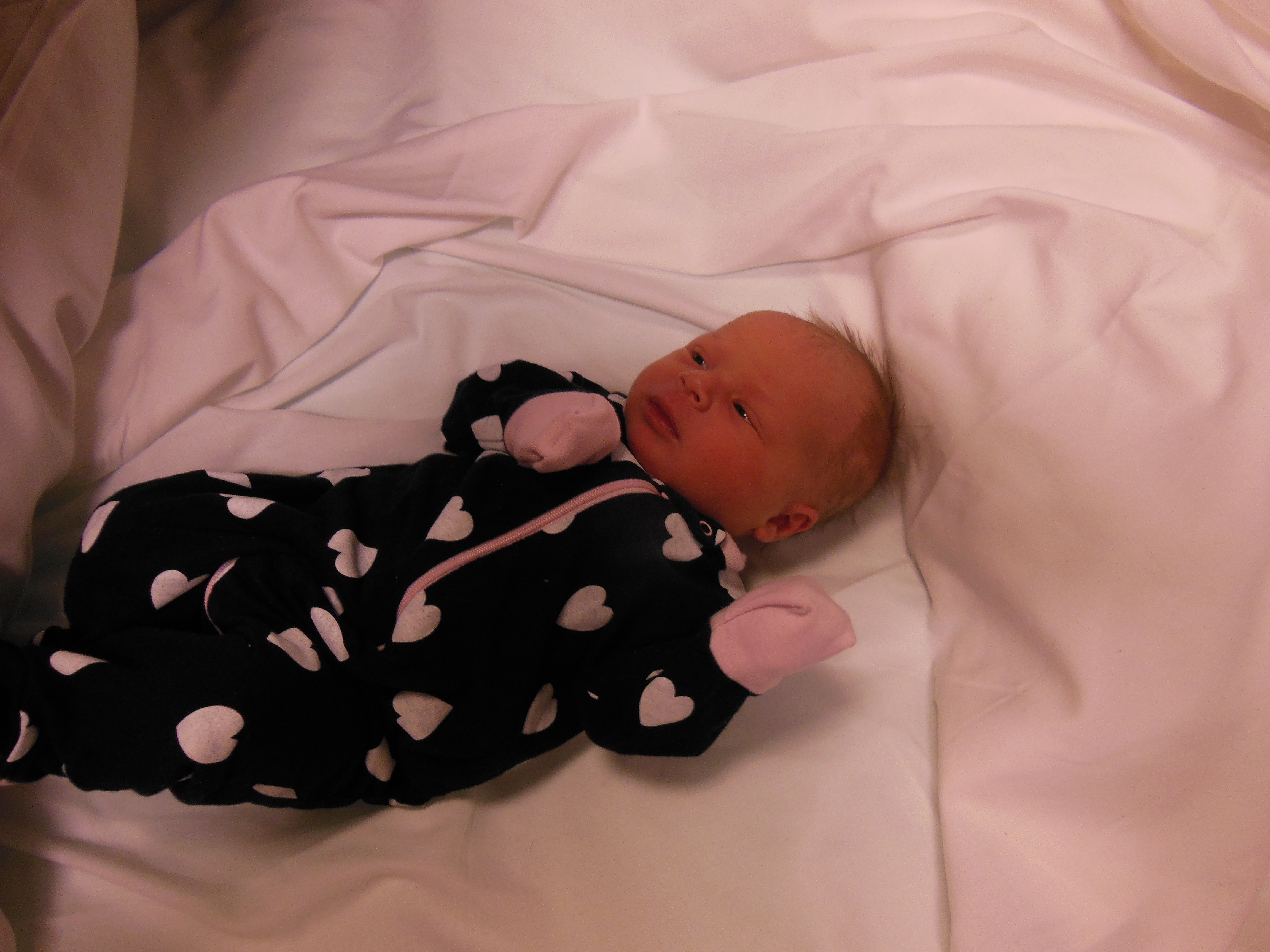 Amelia Lou 