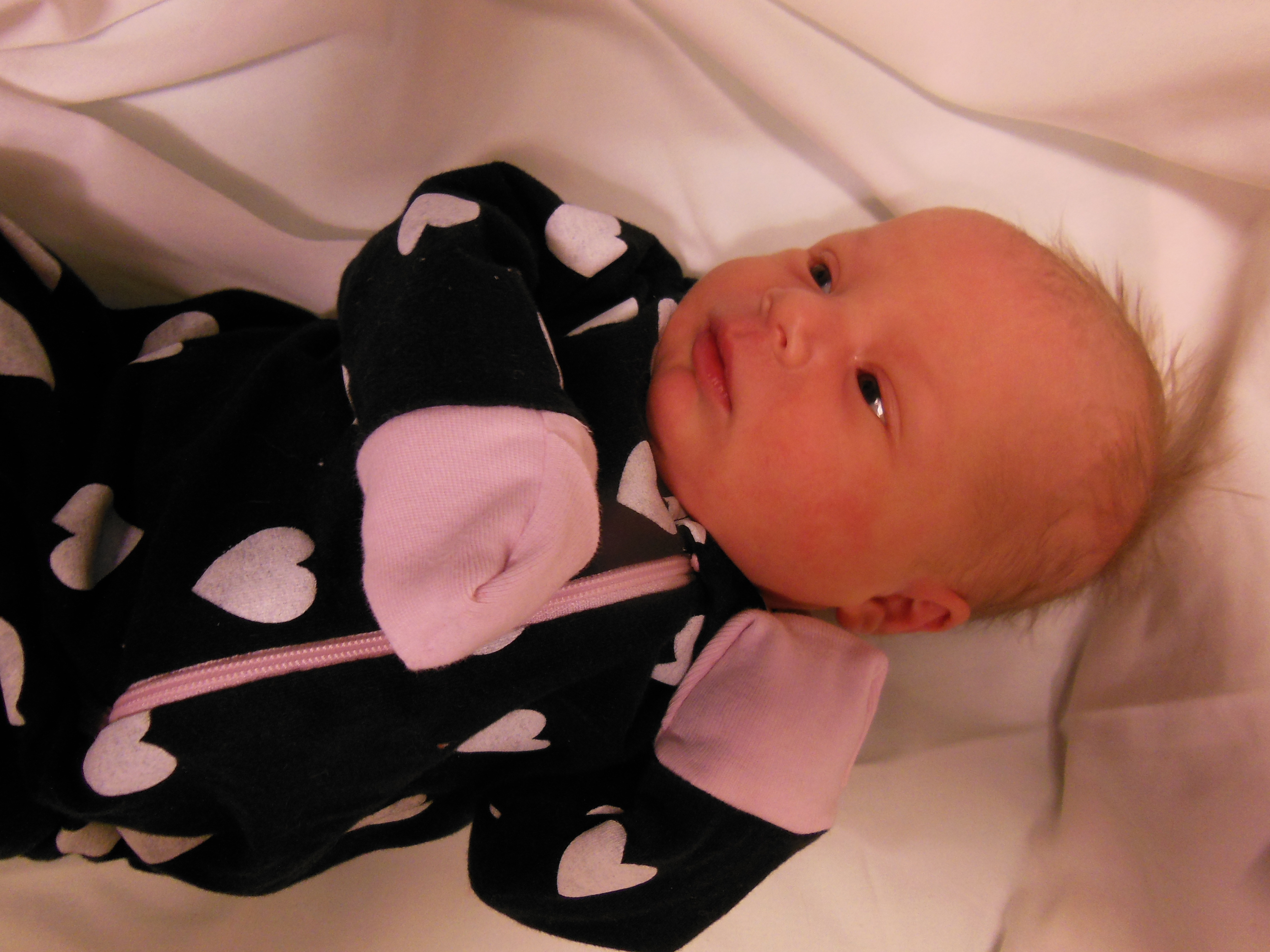 Amelia Lou 
