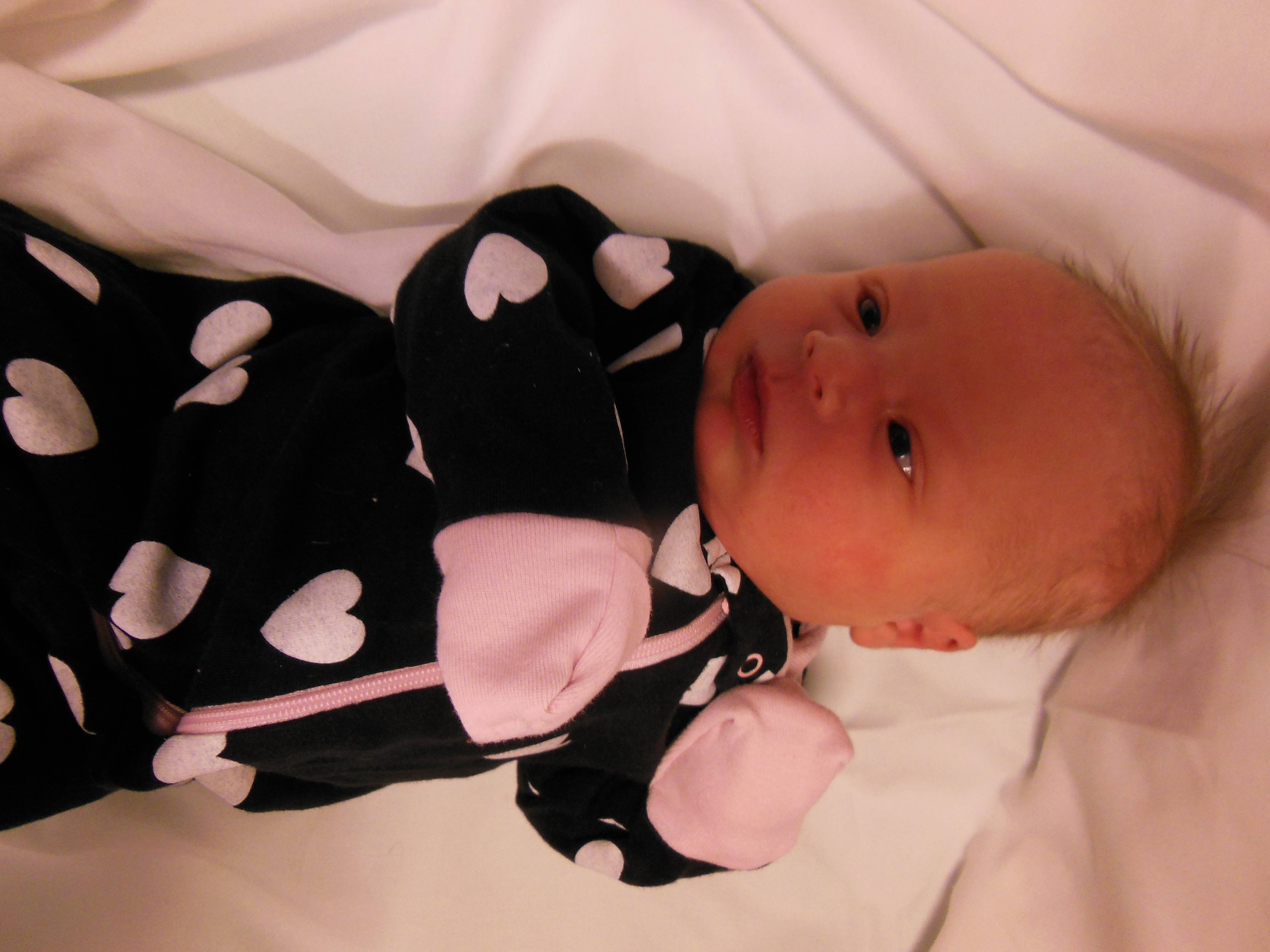 Amelia Lou 