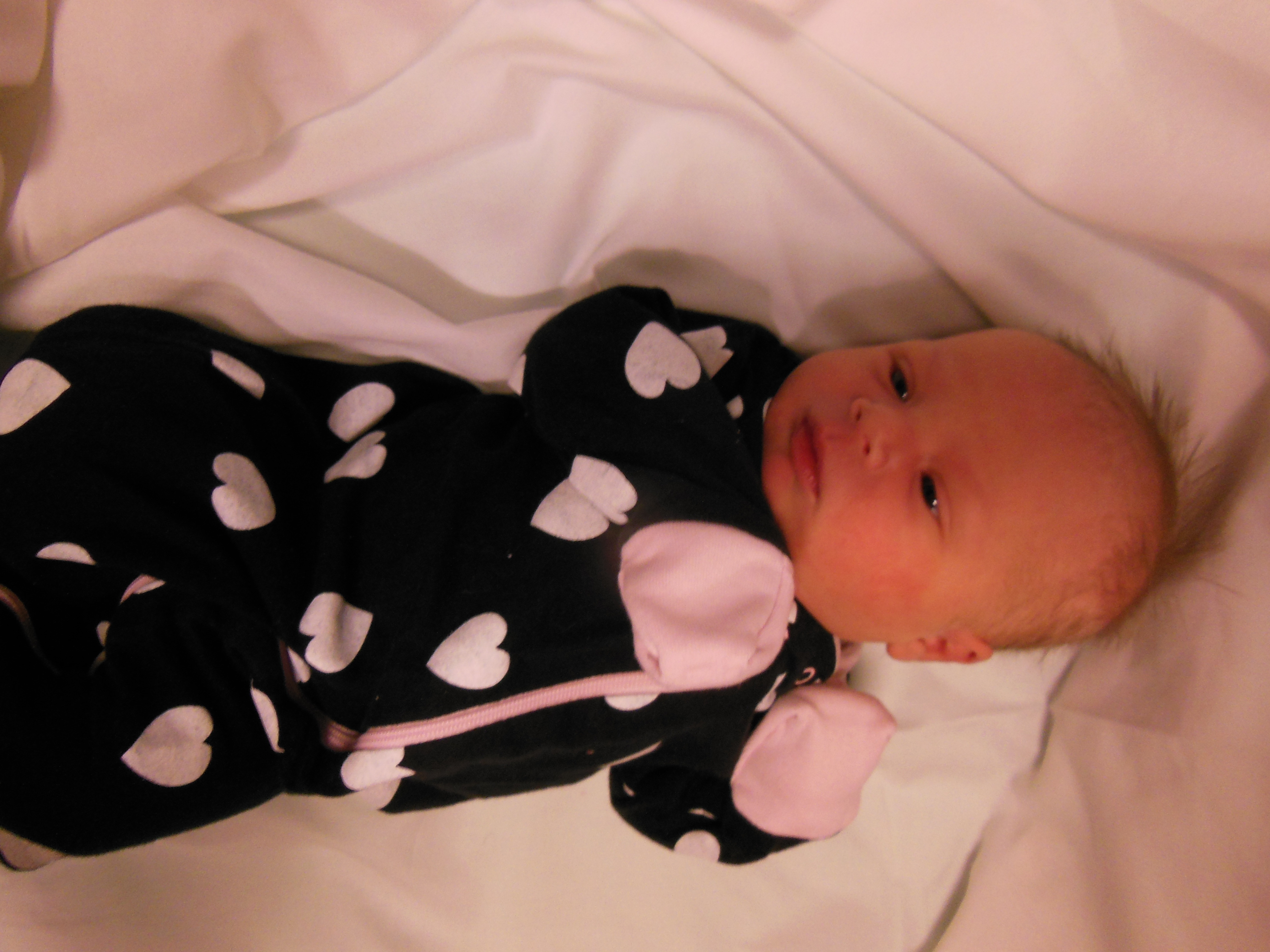 Amelia Lou 