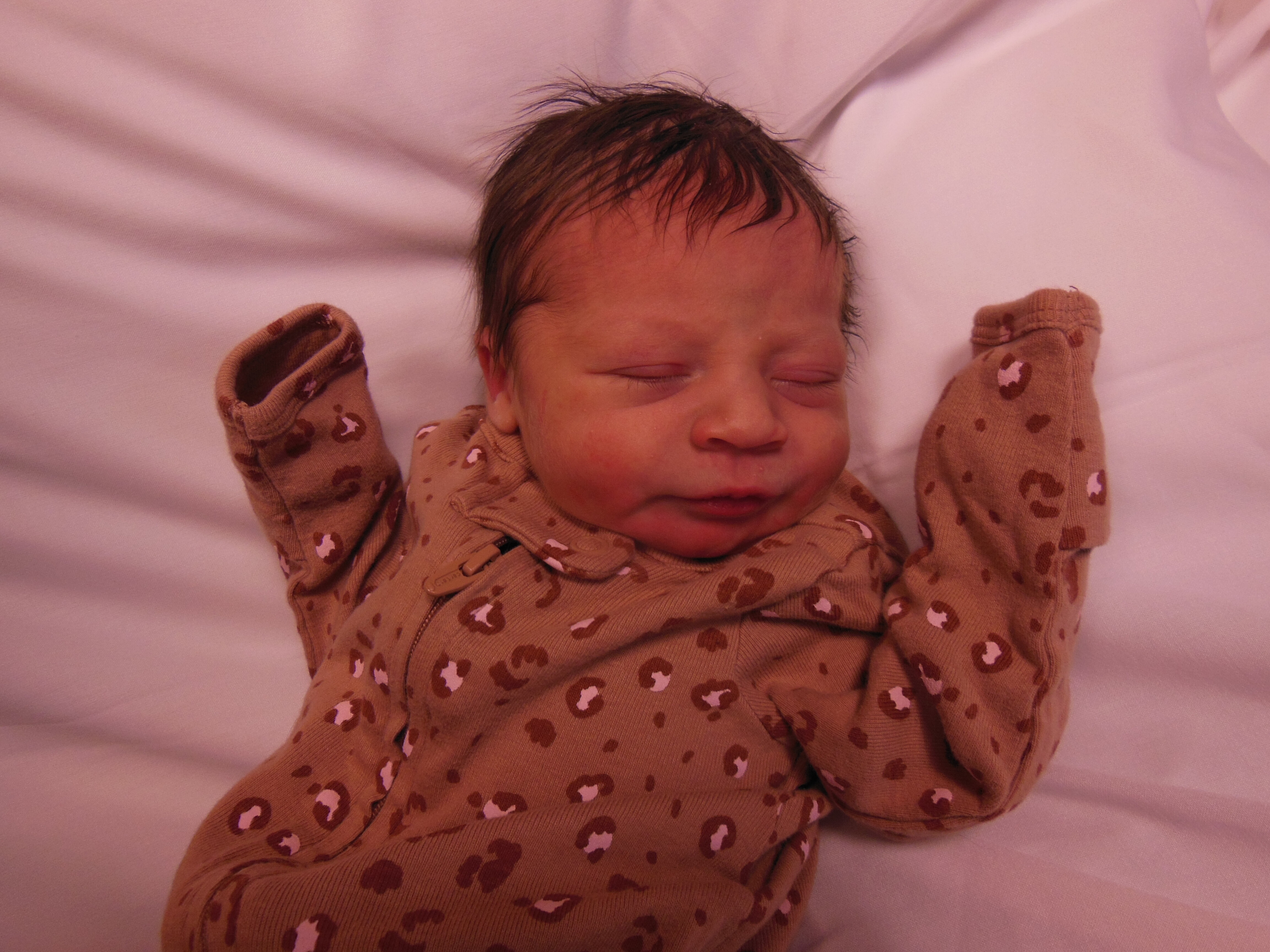 Liliana Aurora