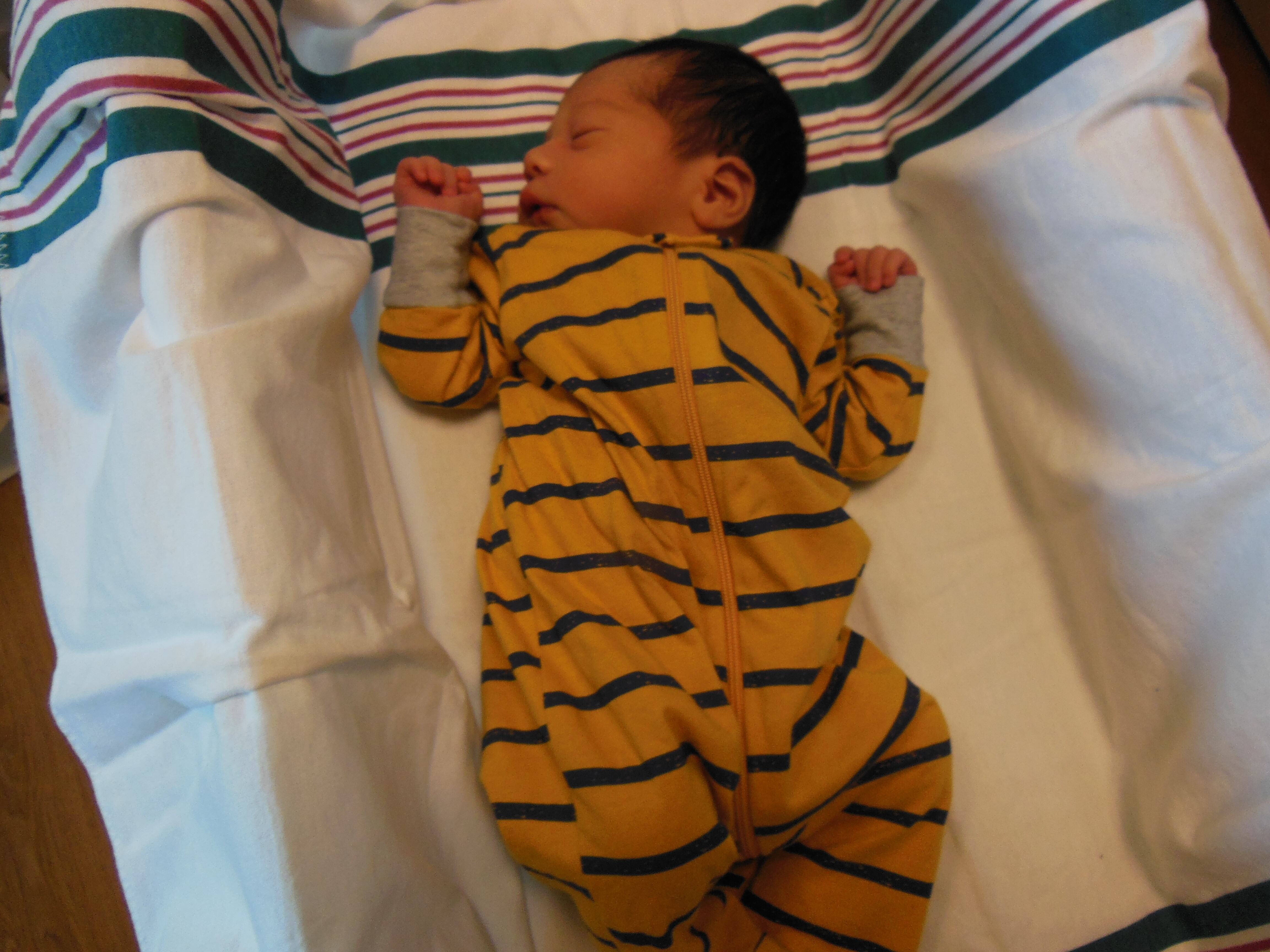 Noah 