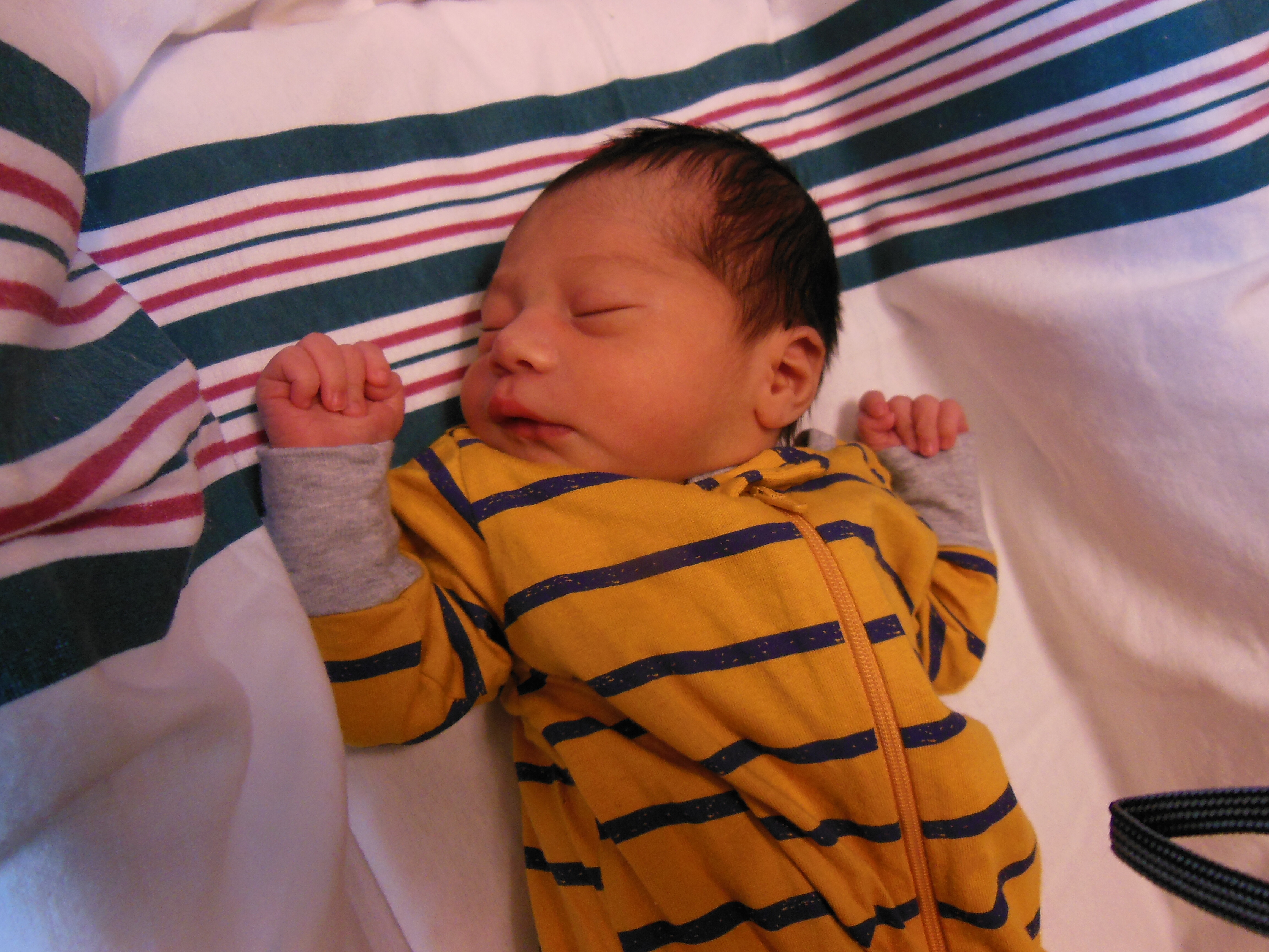 Noah 