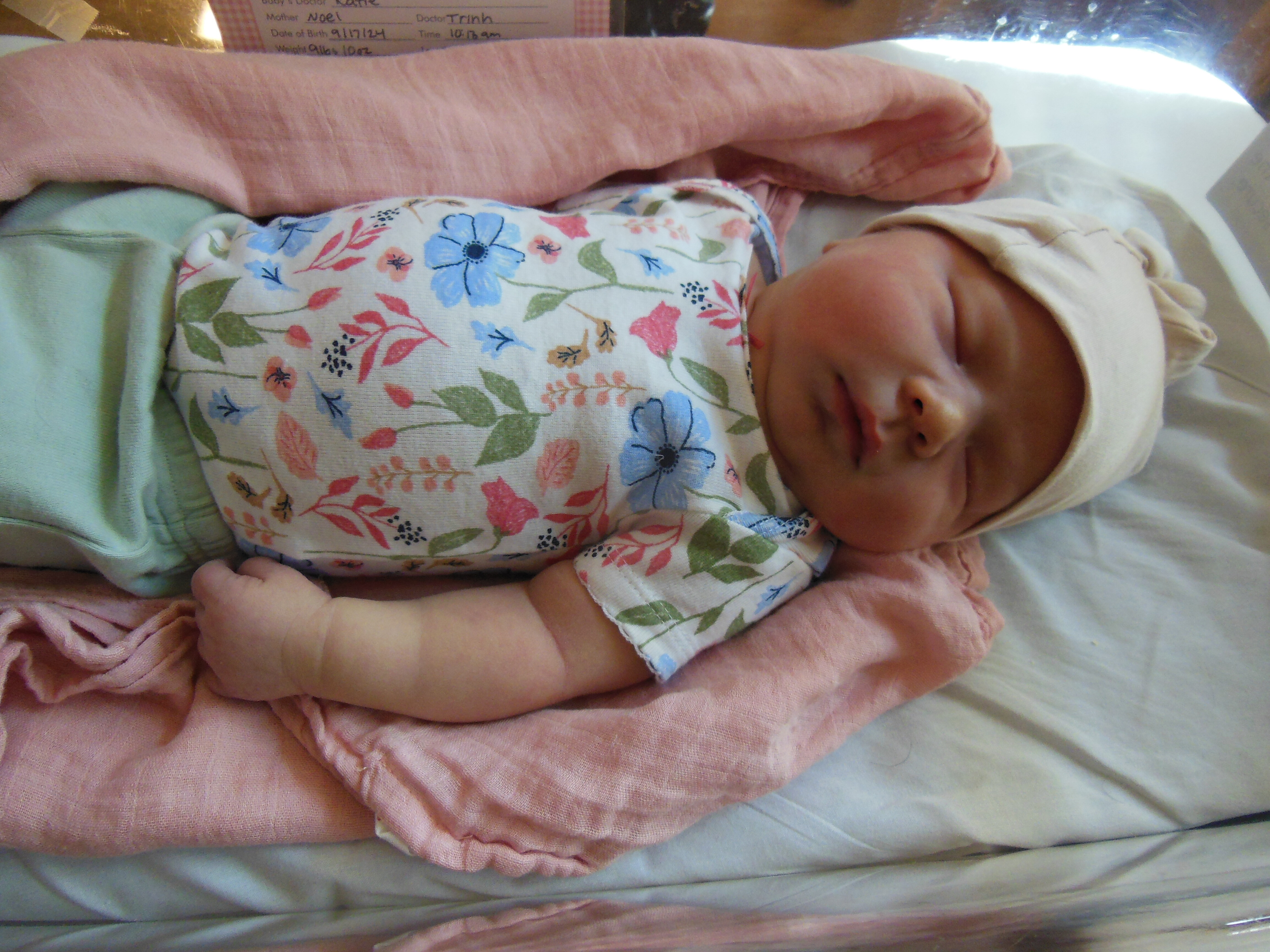 Isabelle Grace