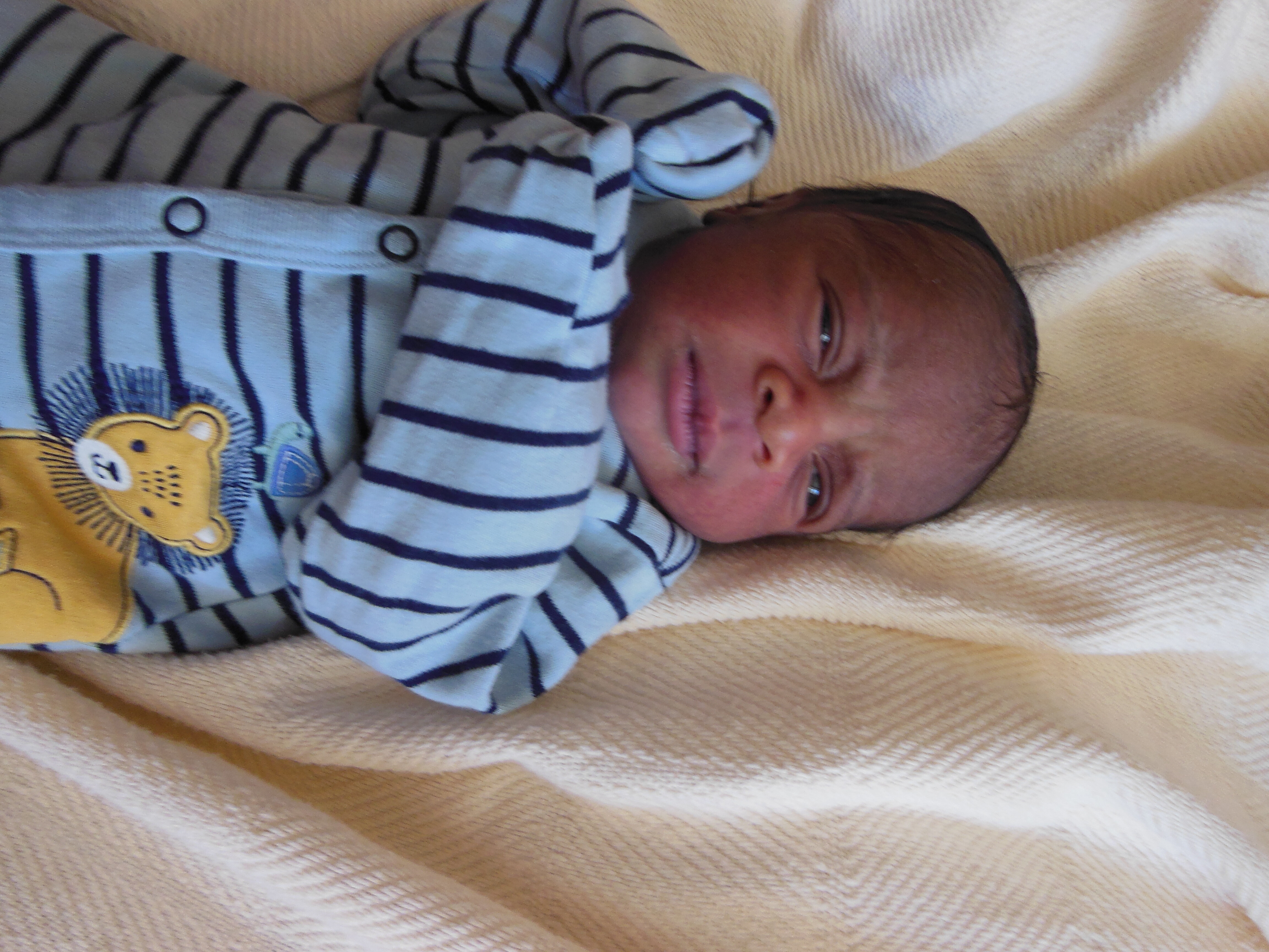 Zayn Oluwamurewa