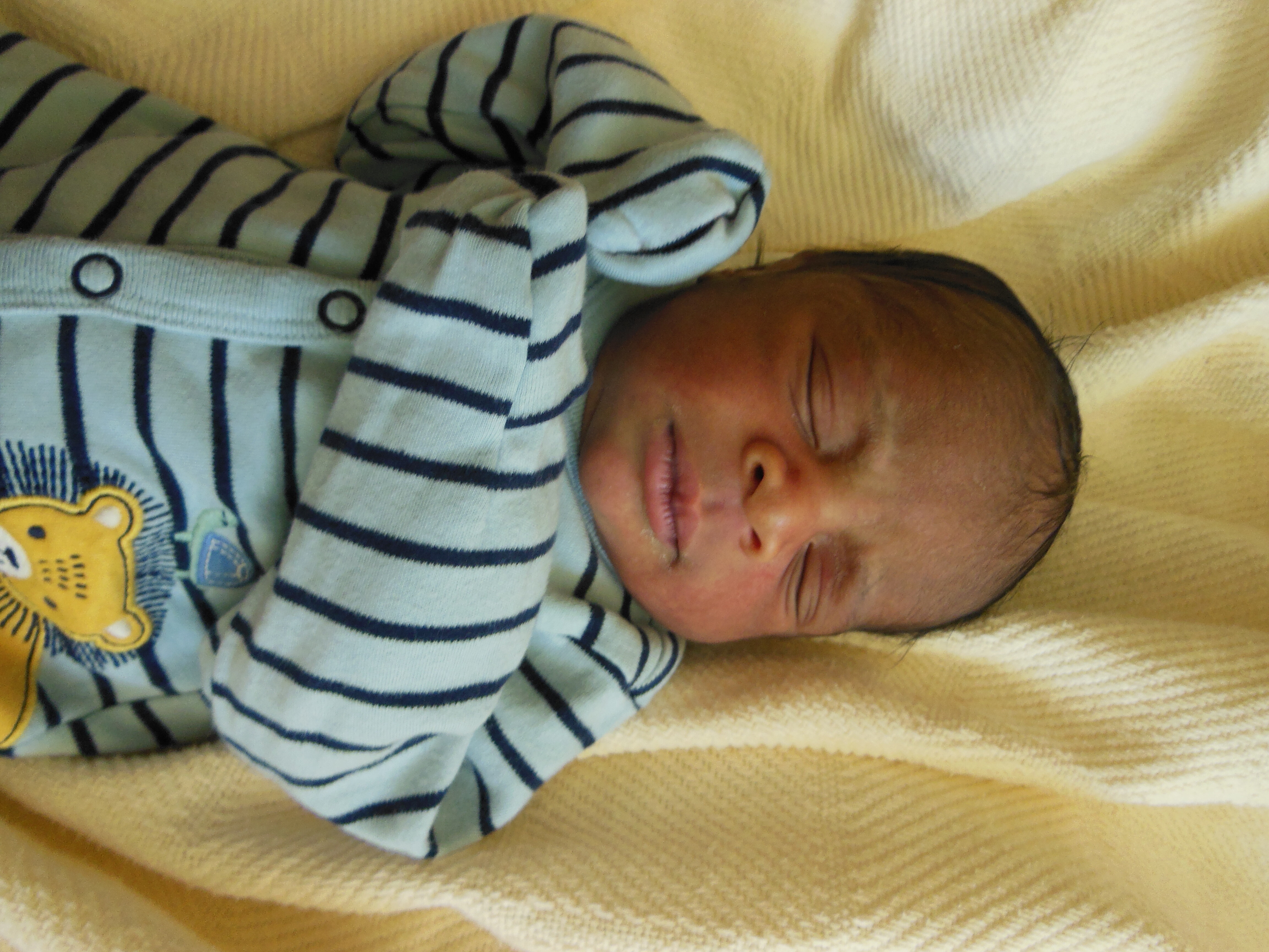 Zayn Oluwamurewa