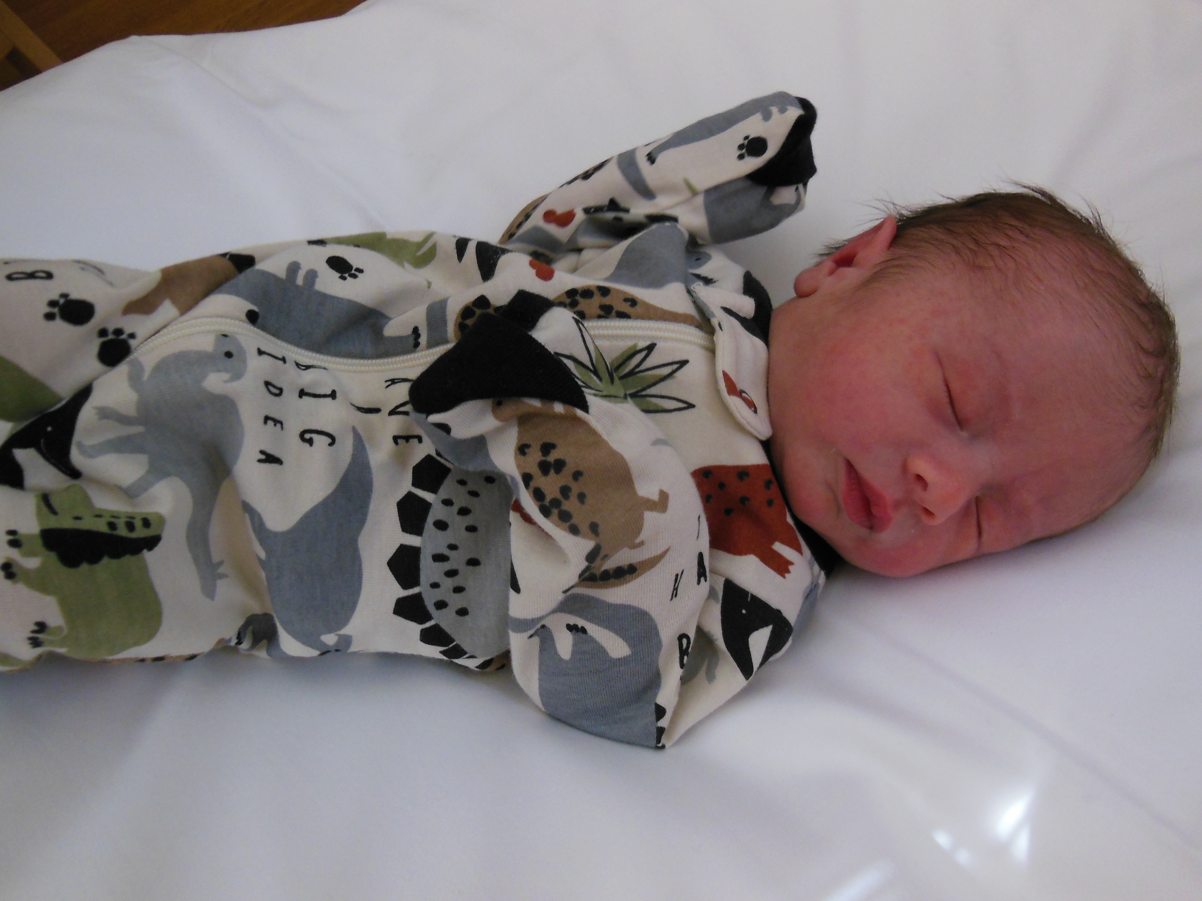 Zander James