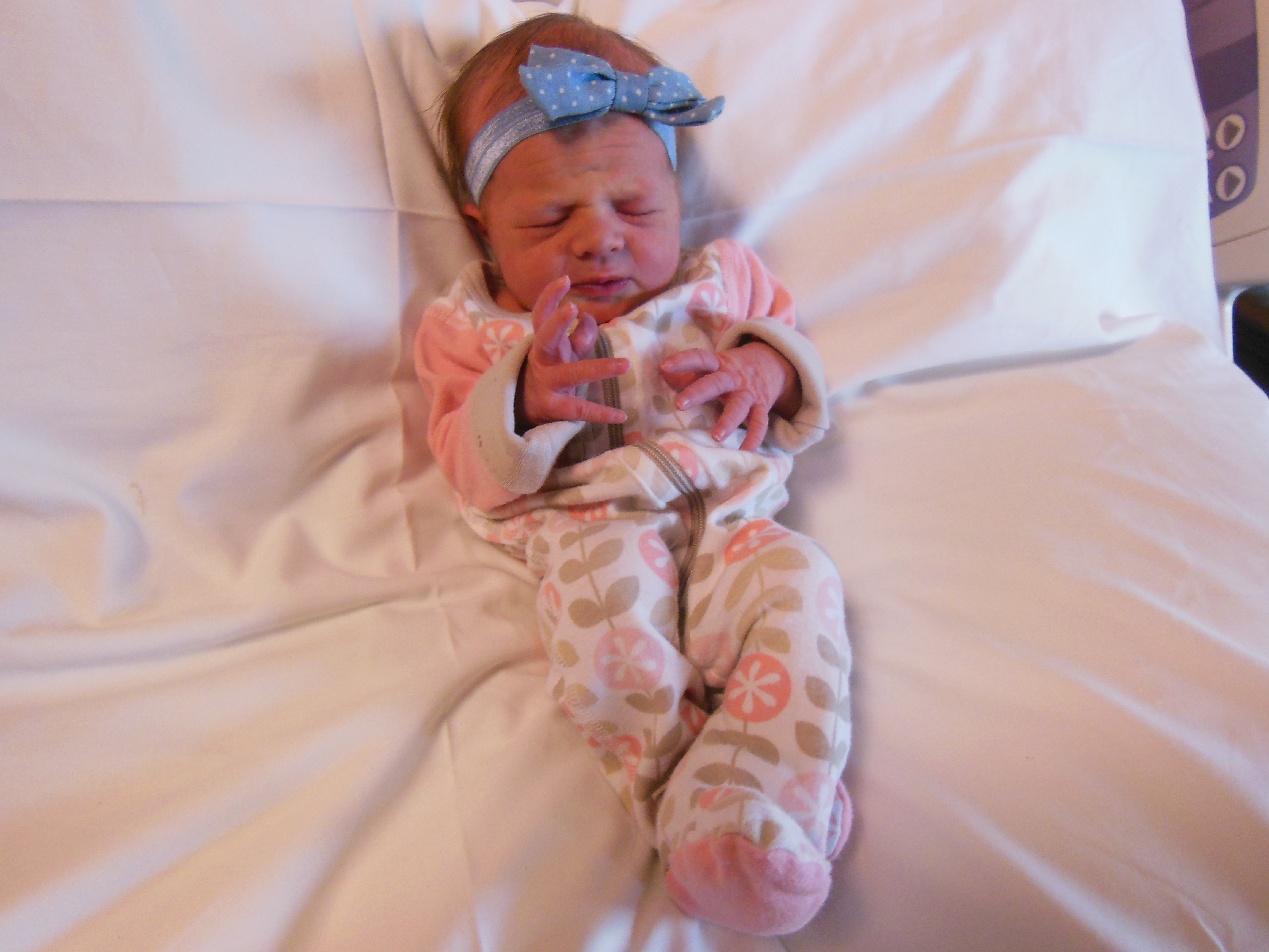 Macy Rose