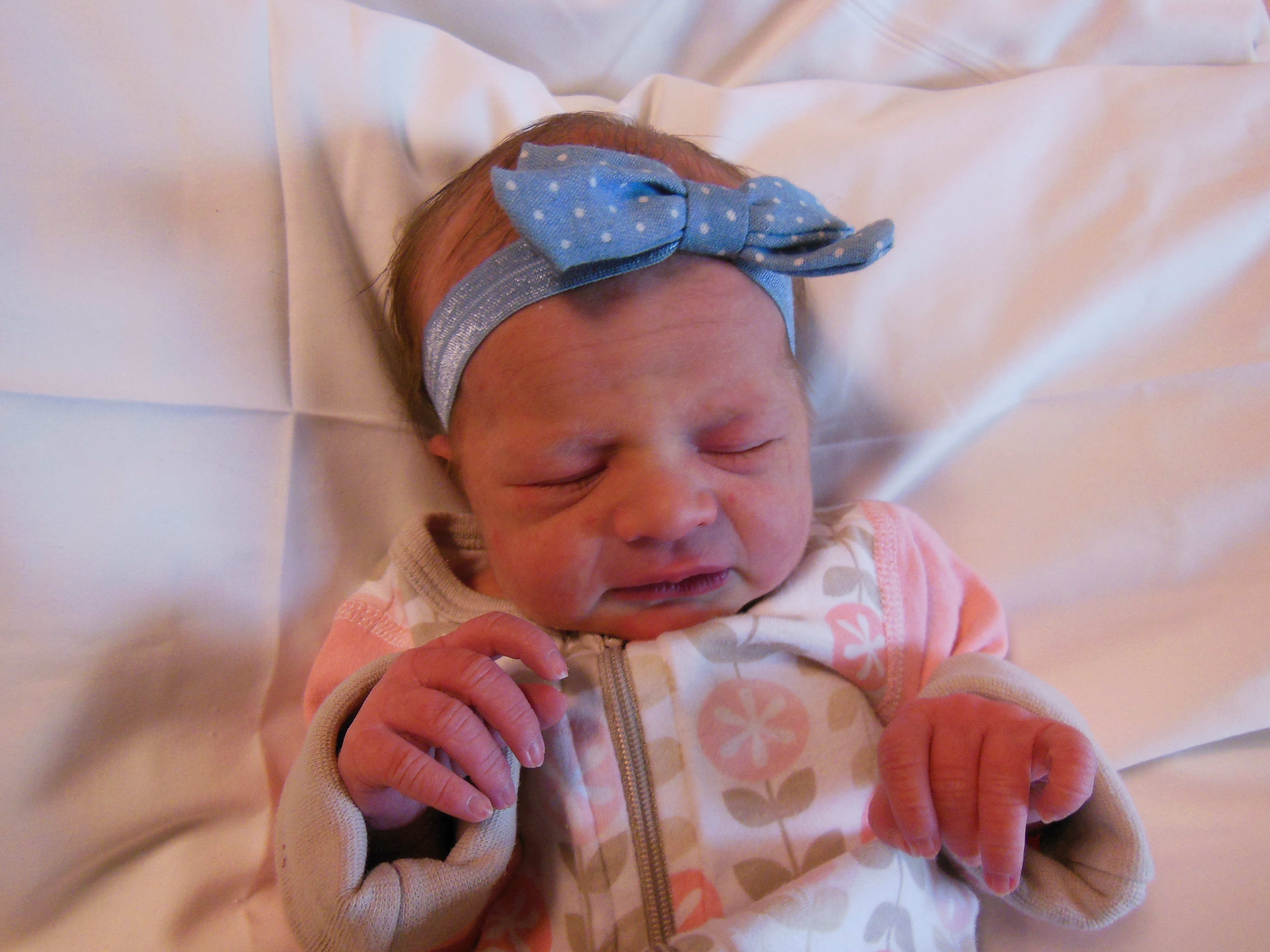 Macy Rose