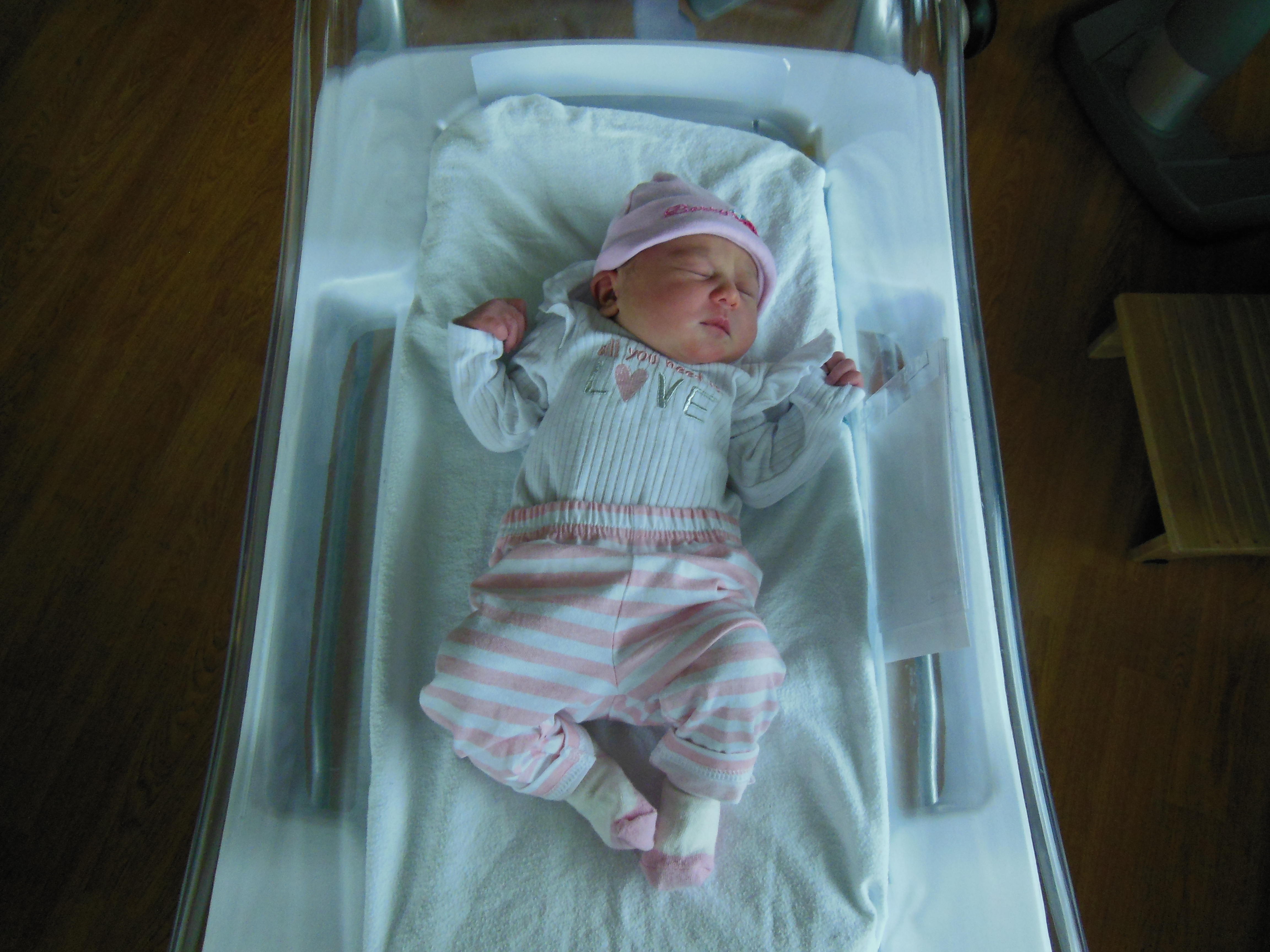 Mahina Rose