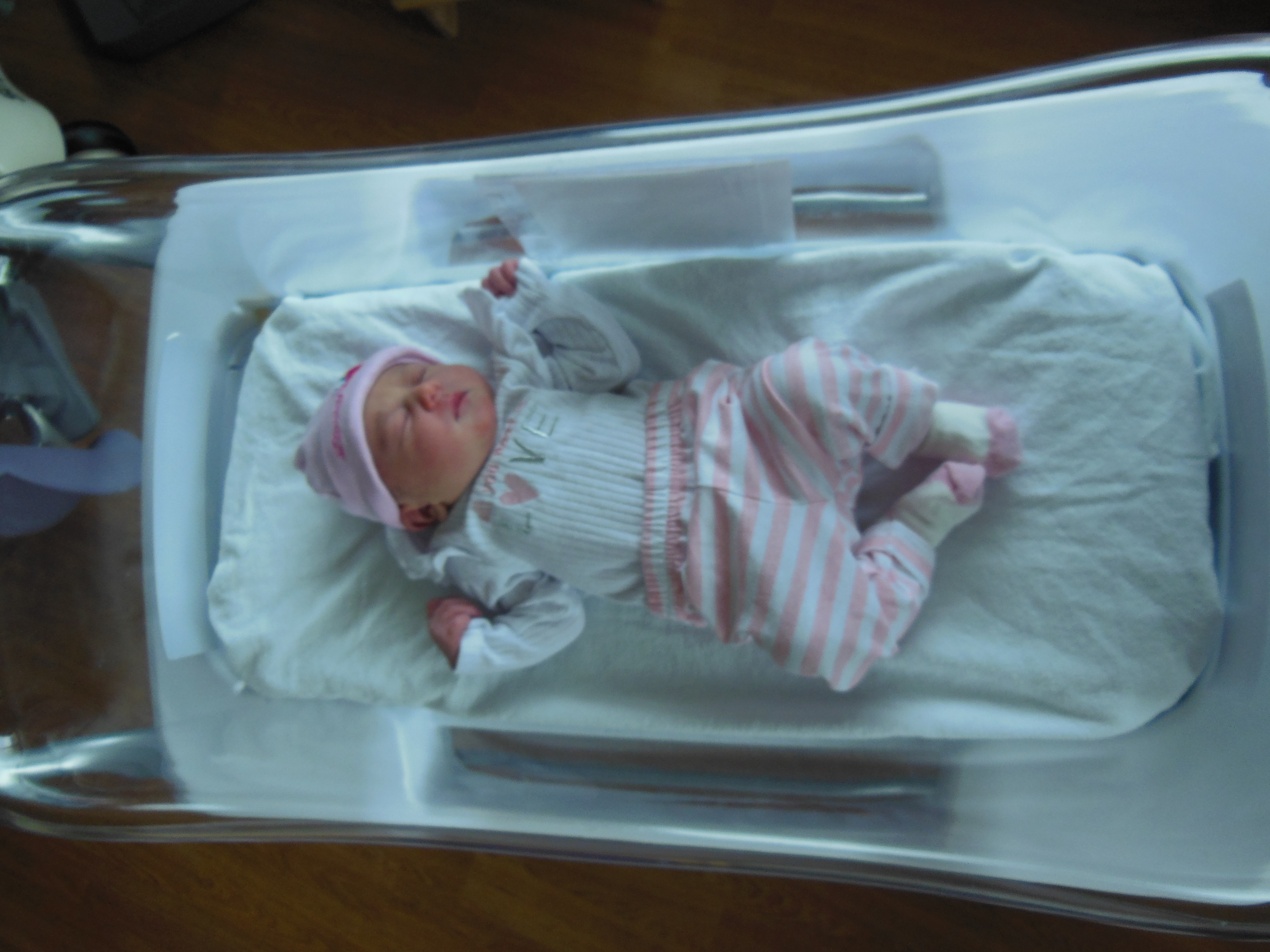 Mahina Rose