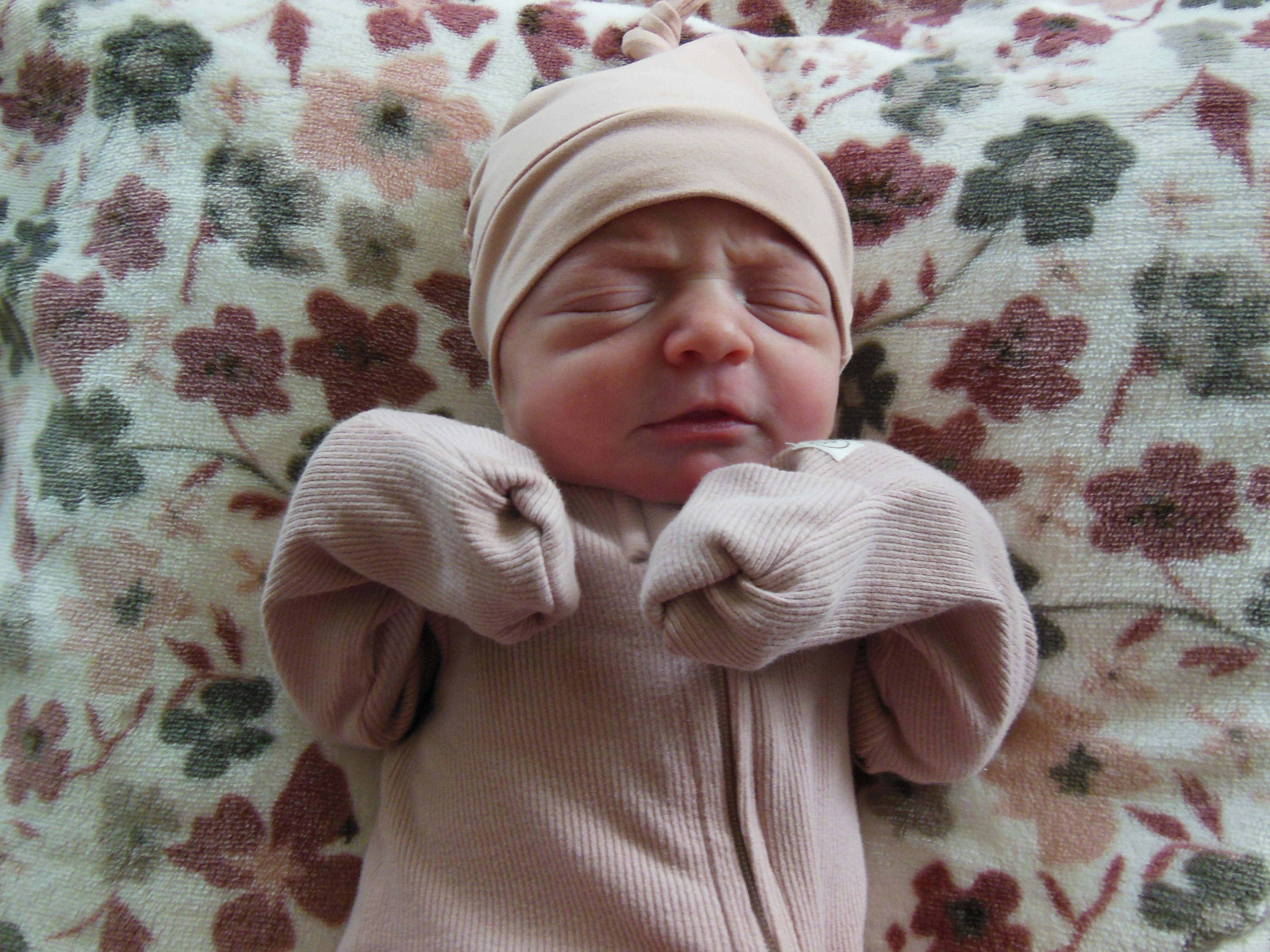Adelynn Emery