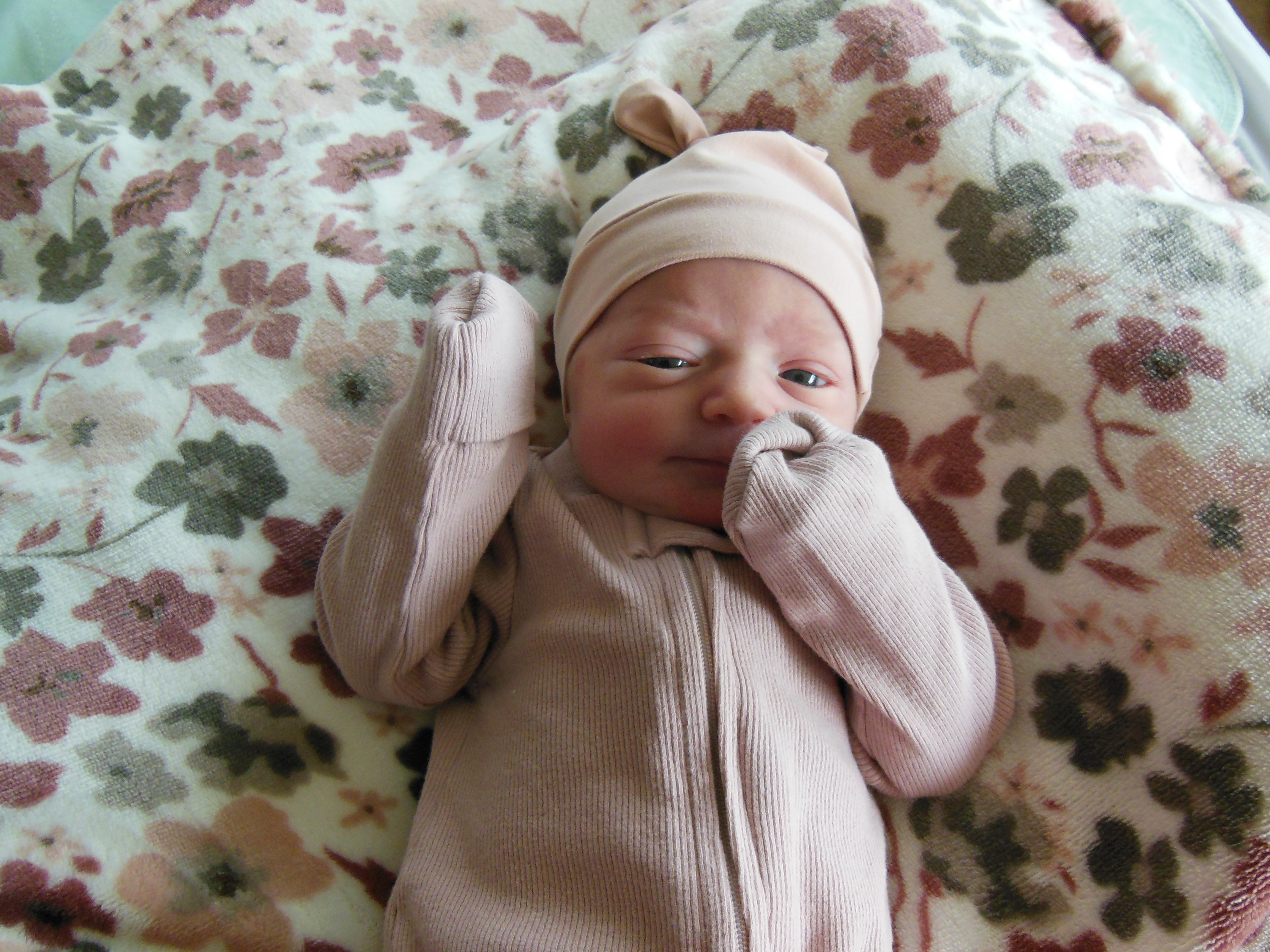 Adelynn Emery