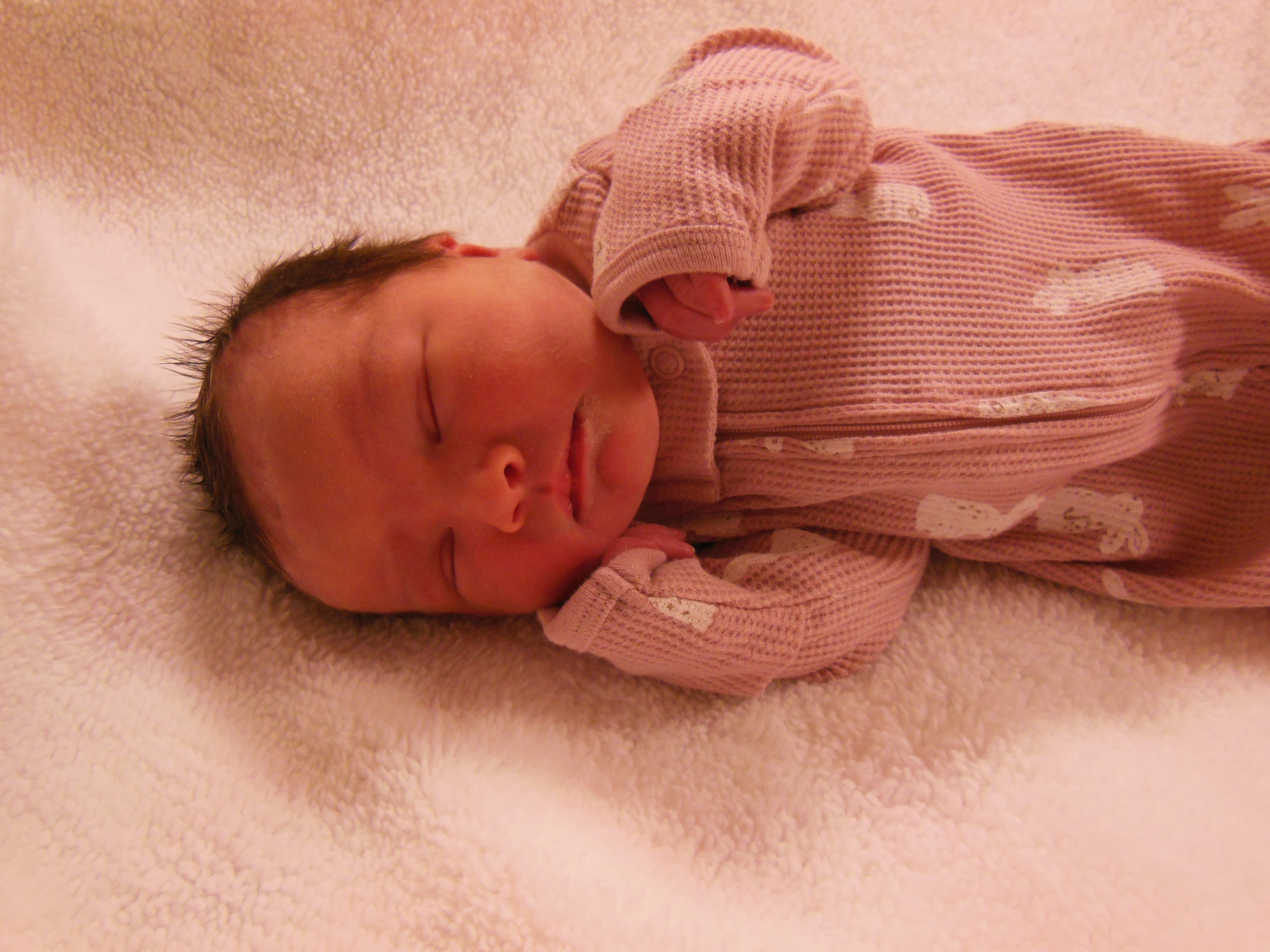 Briar Ann