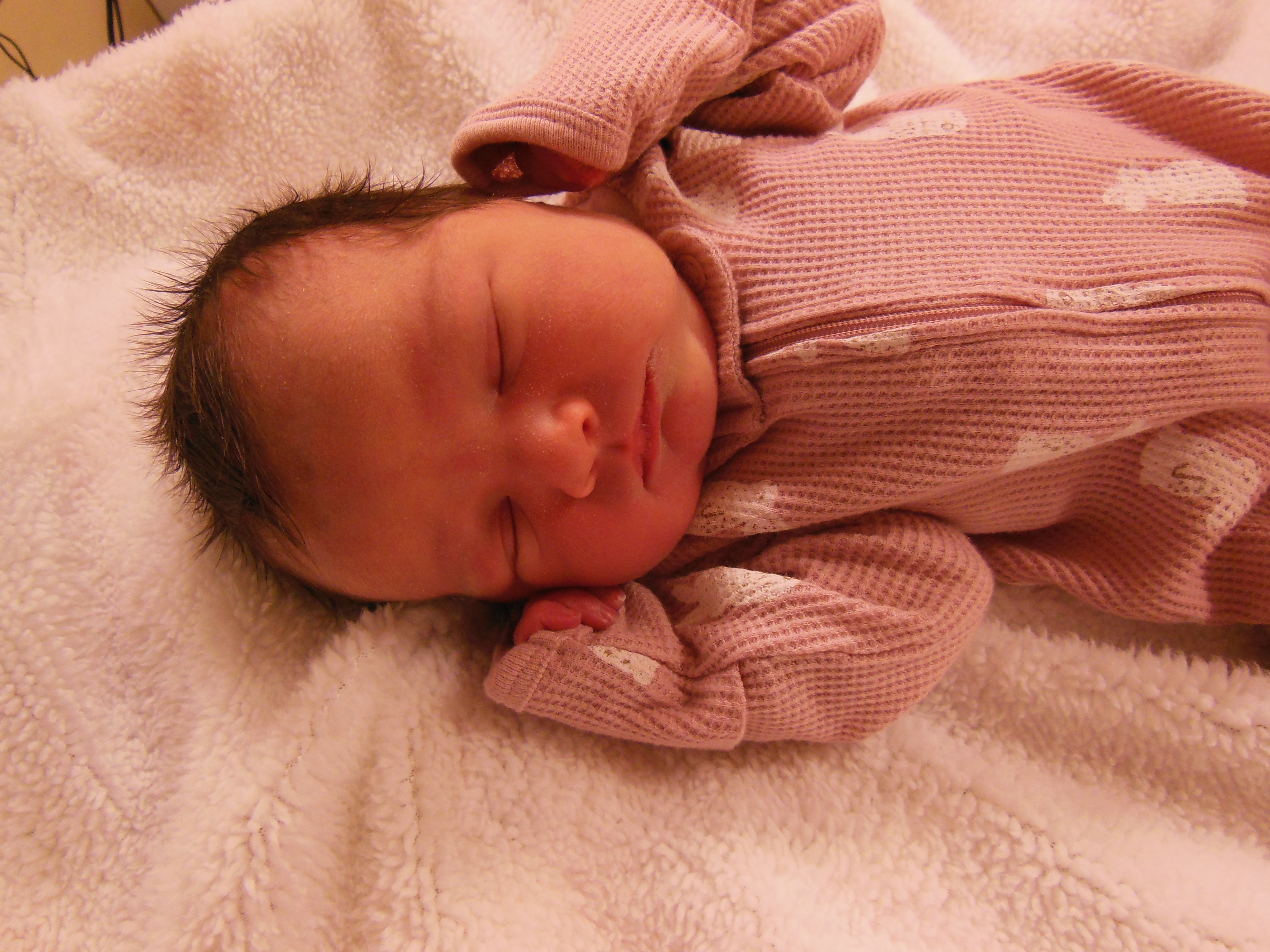 Briar Ann
