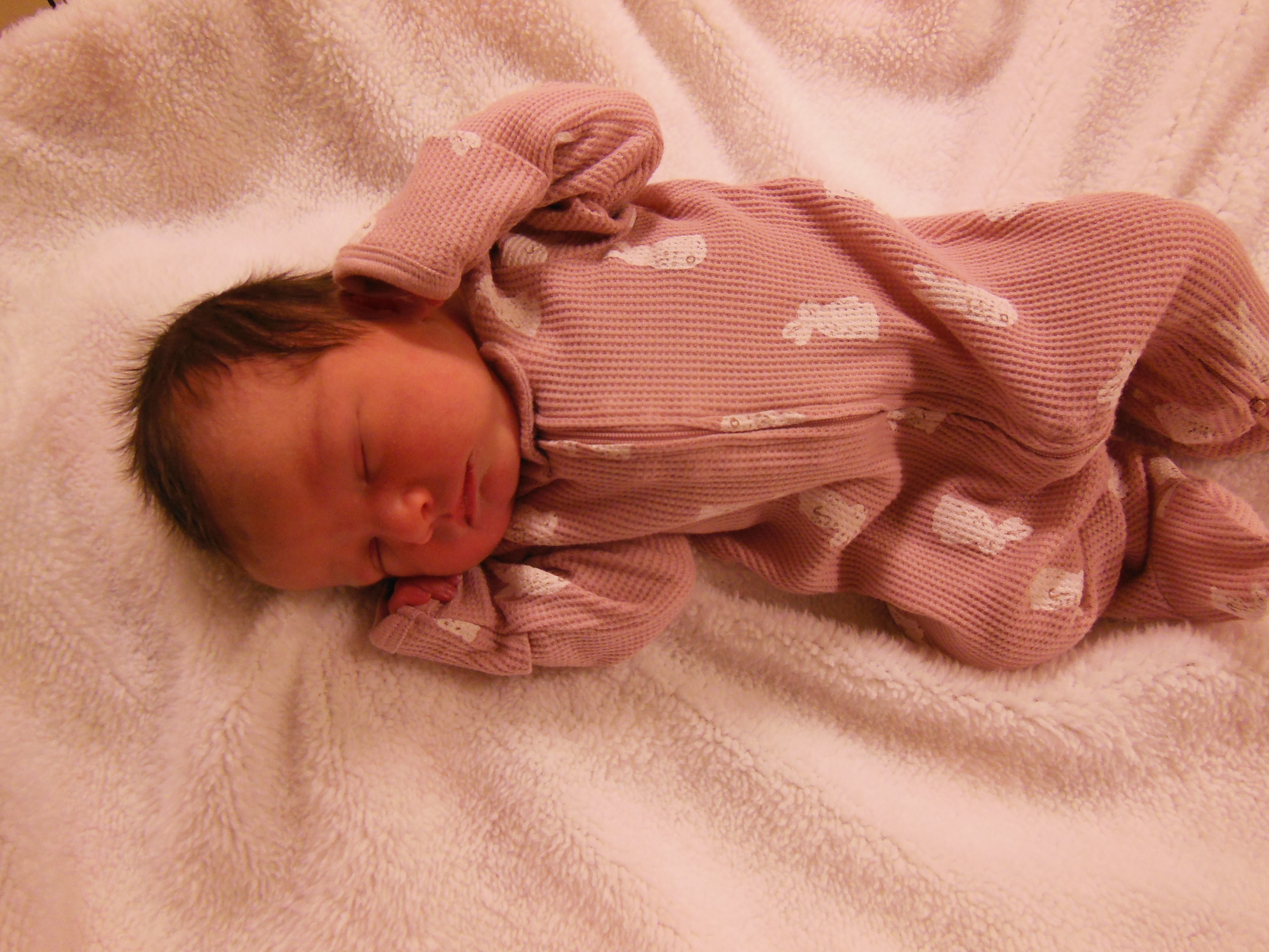 Briar Ann