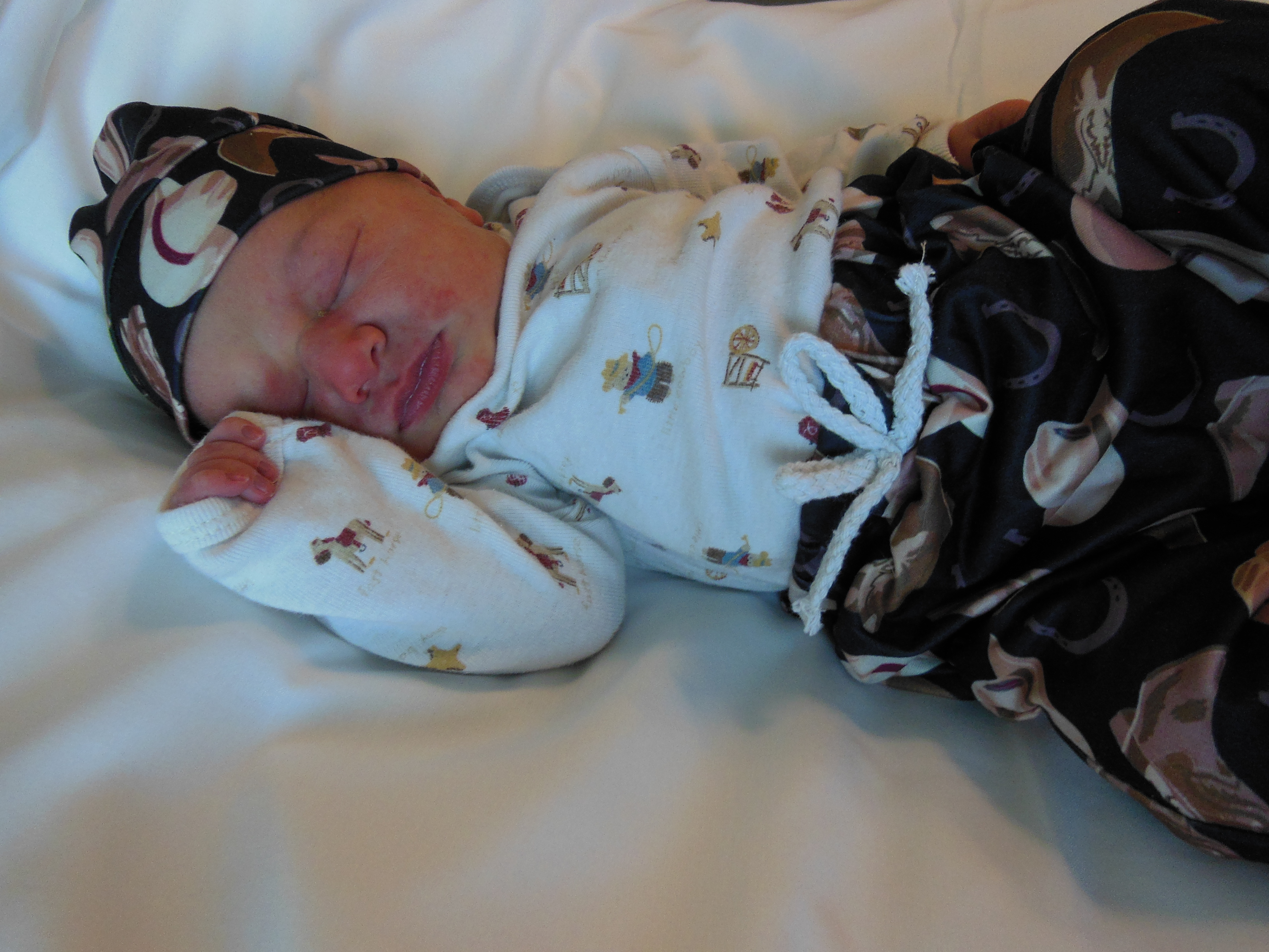 Stetson Roger 