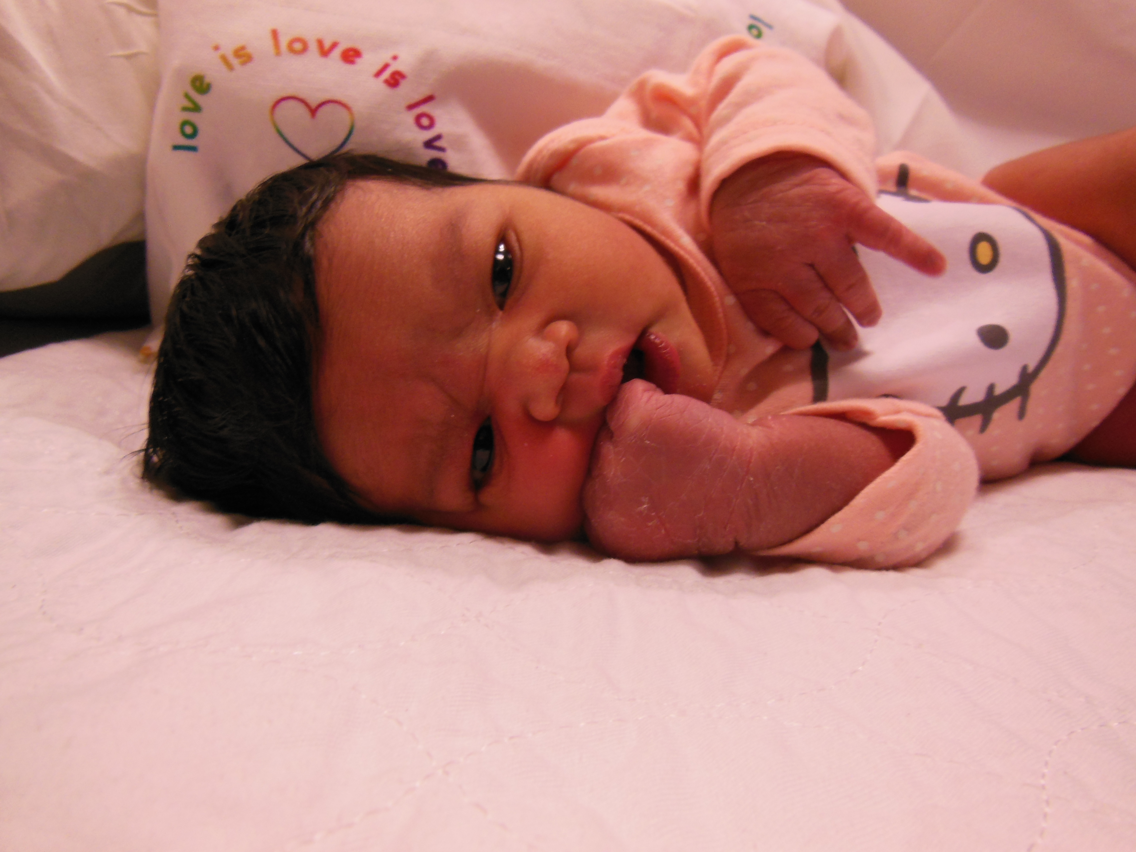 Anaya Shuvo