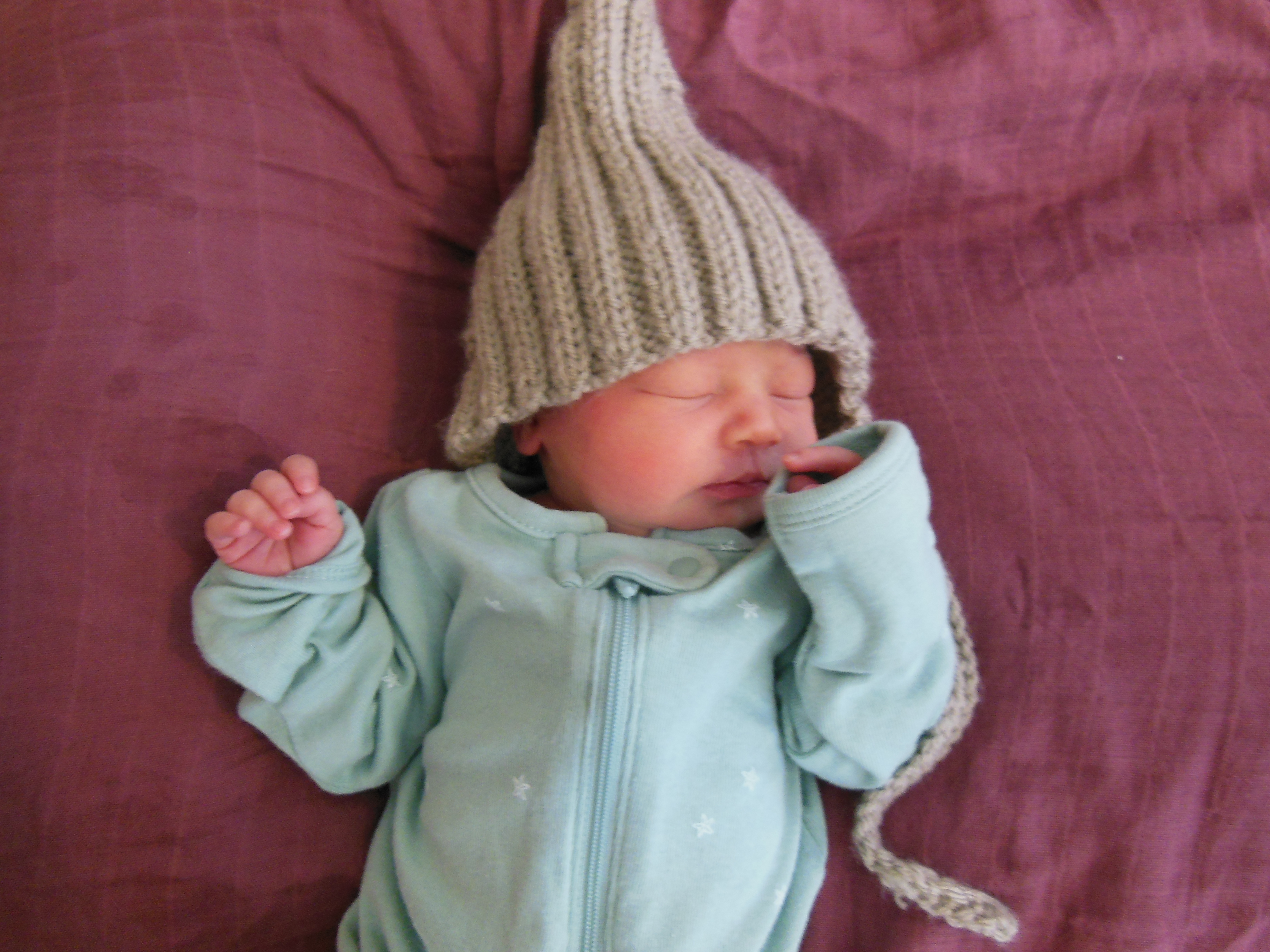 Vesper Rose