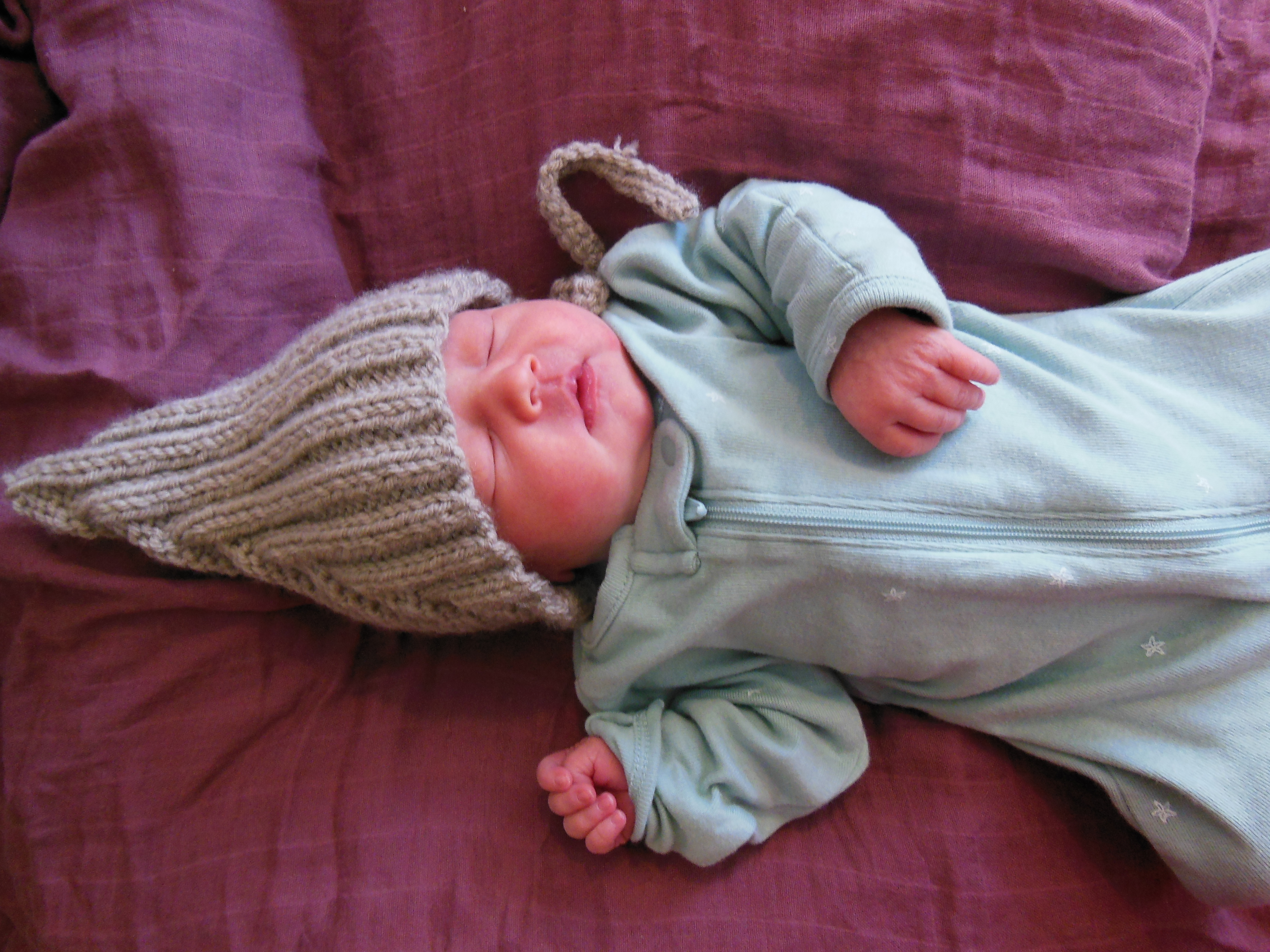 Vesper Rose