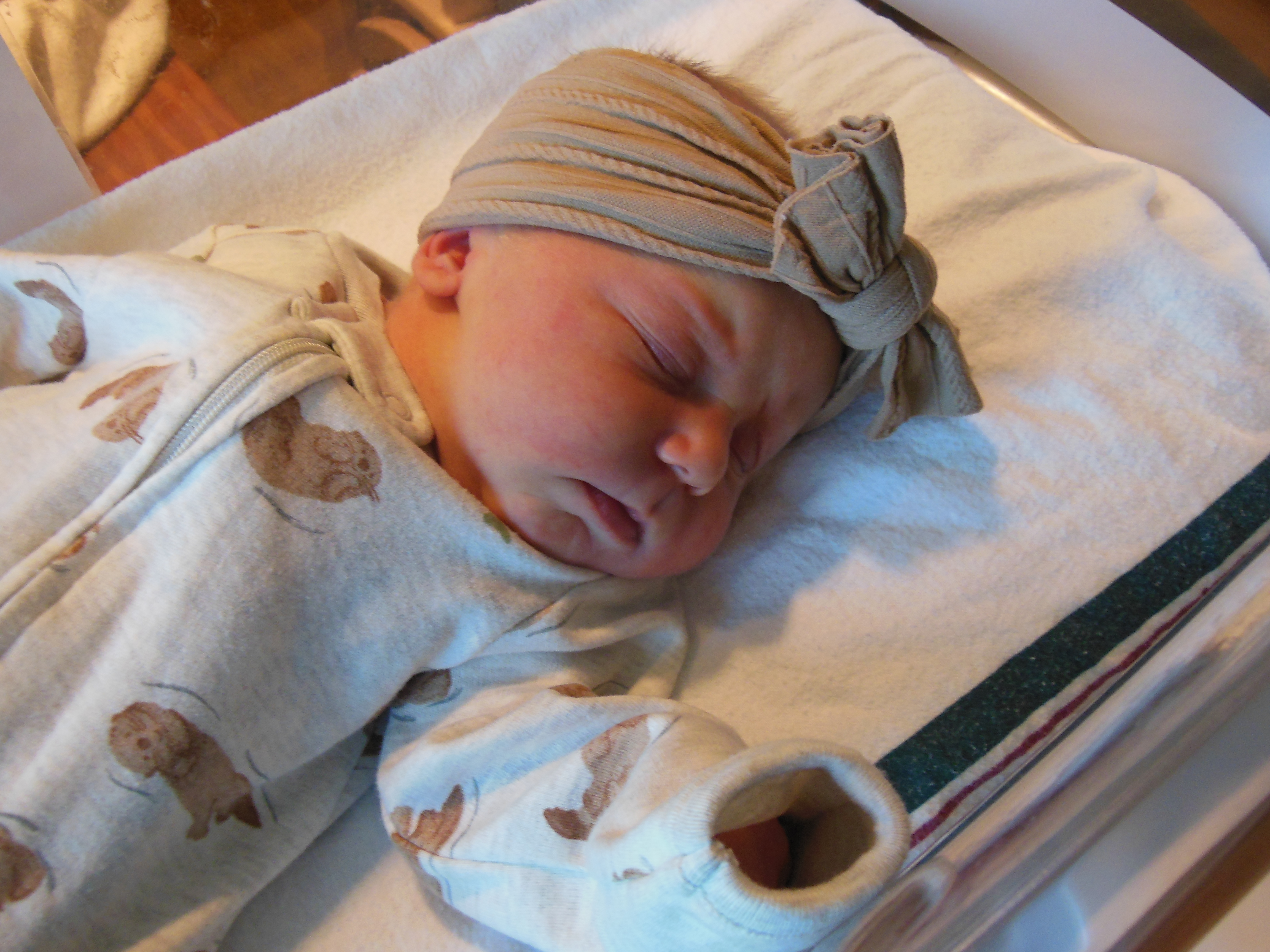 Paislee Louise