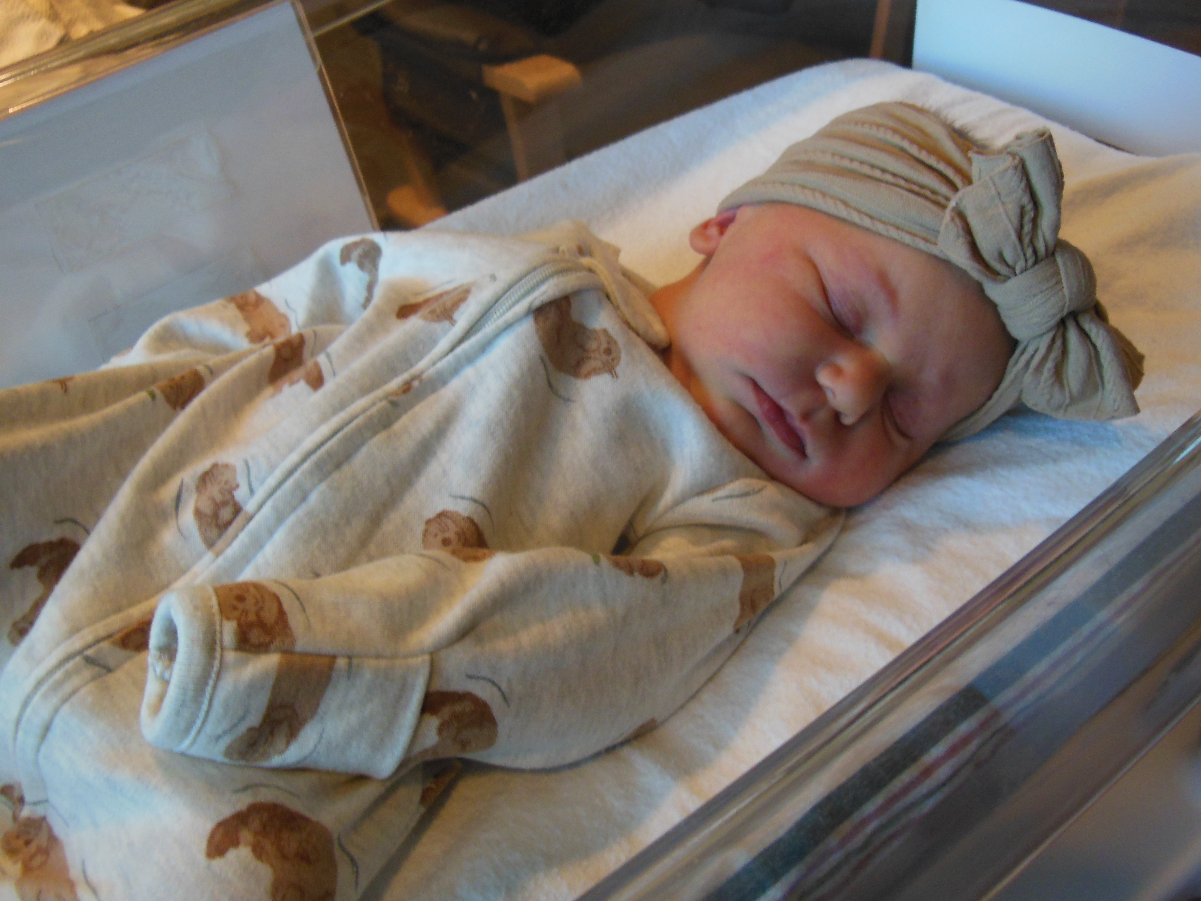 Paislee Louise