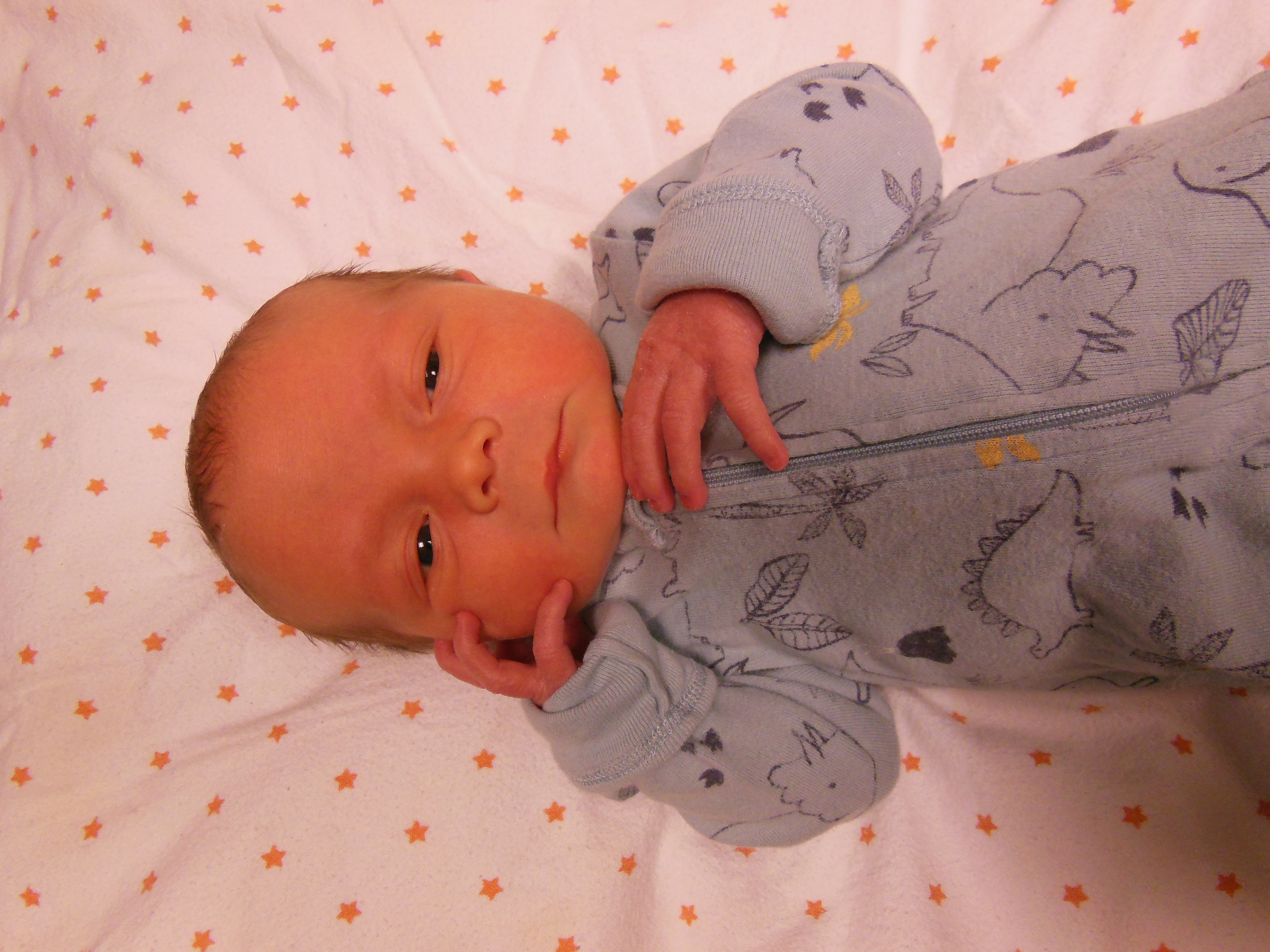 August Samuel