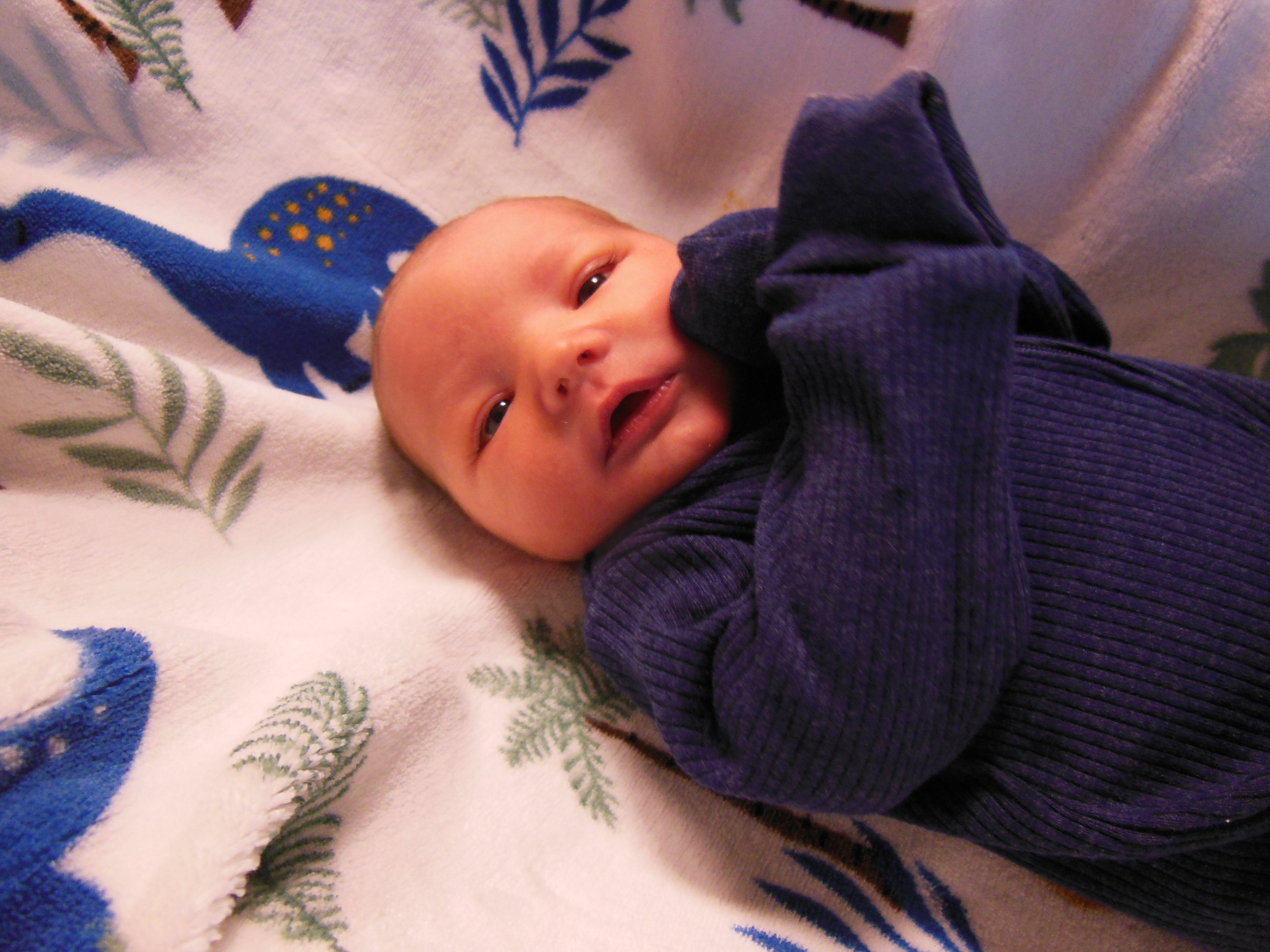 Matthew Harry 