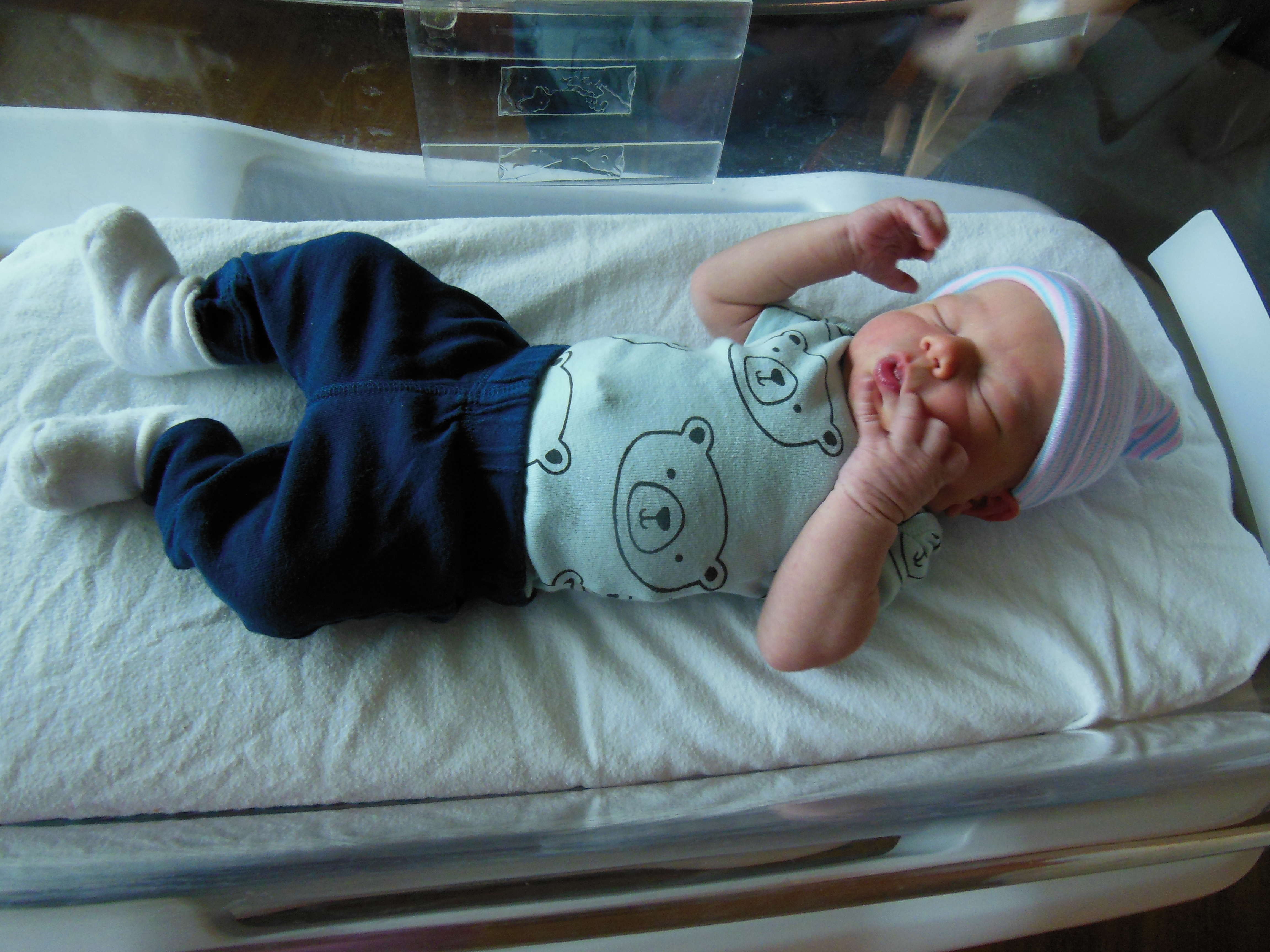 Adam Justin Holan Roy