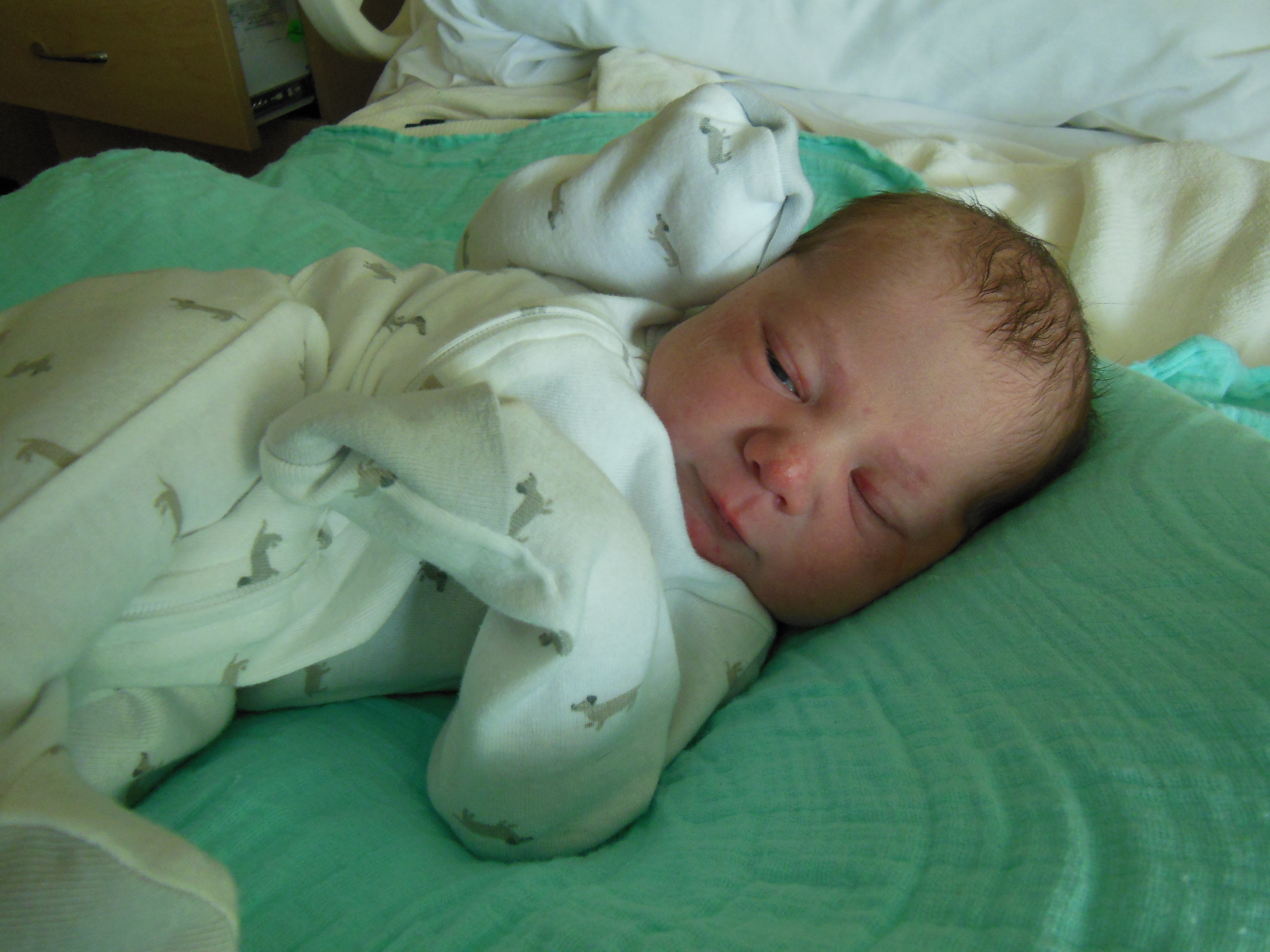 Sloan Scott